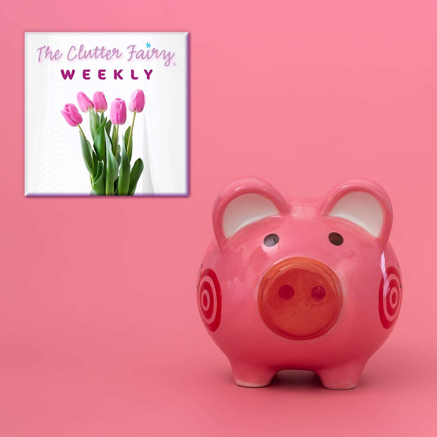 Decluttering on a Budget: Tips and Tricks to Organize for Less - The Clutter Fairy Weekly #104
