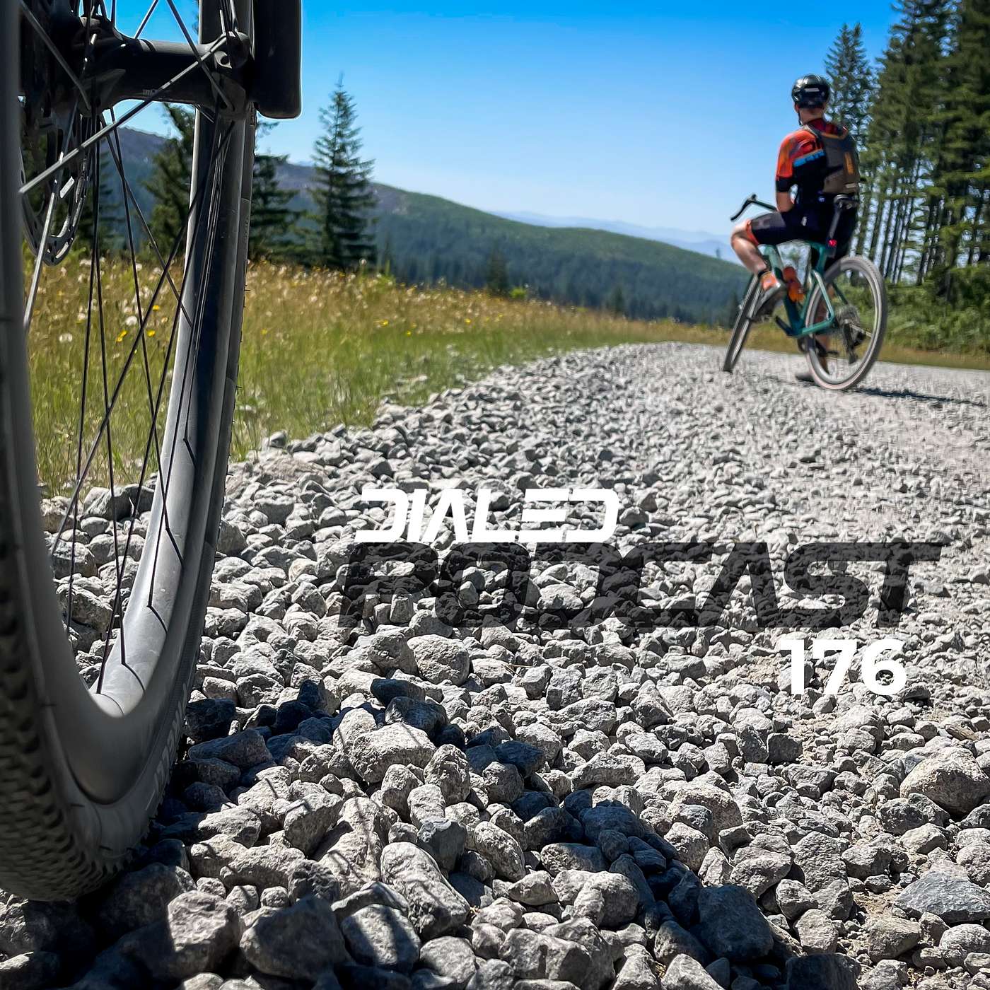 Dialed Podcast 176 - The mistakes we still make after years of riding episode artwork