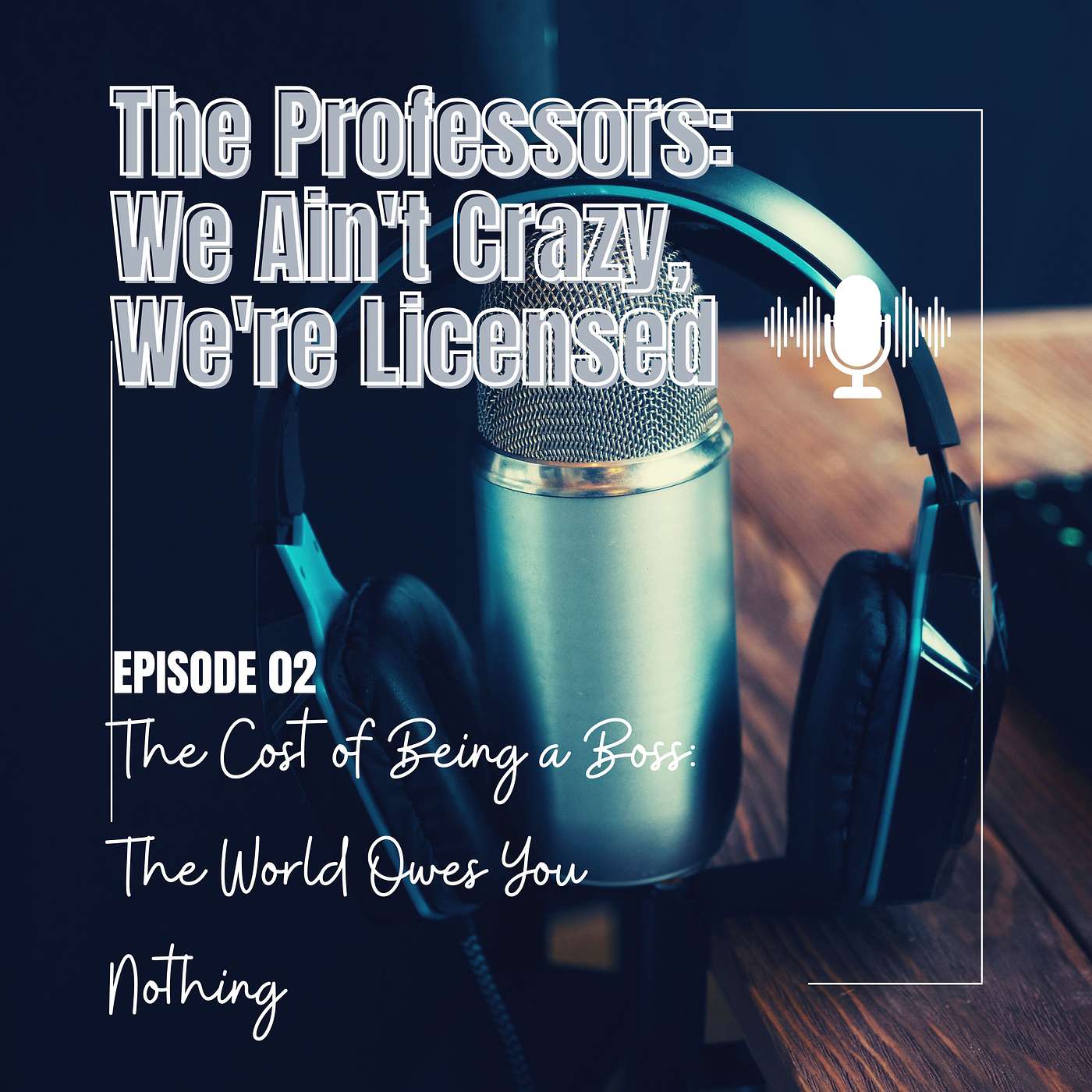 The Professors: We Ain\'t Crazy, We\'re Licensed