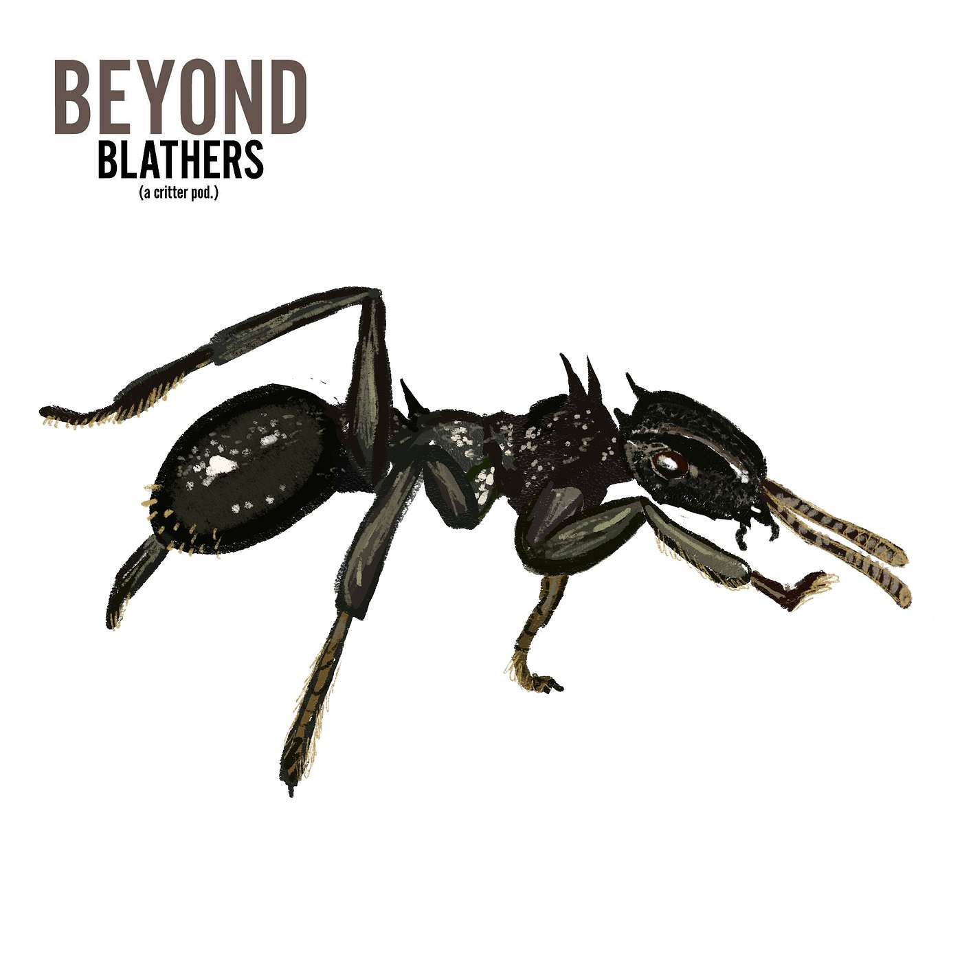 Beyond Blathers