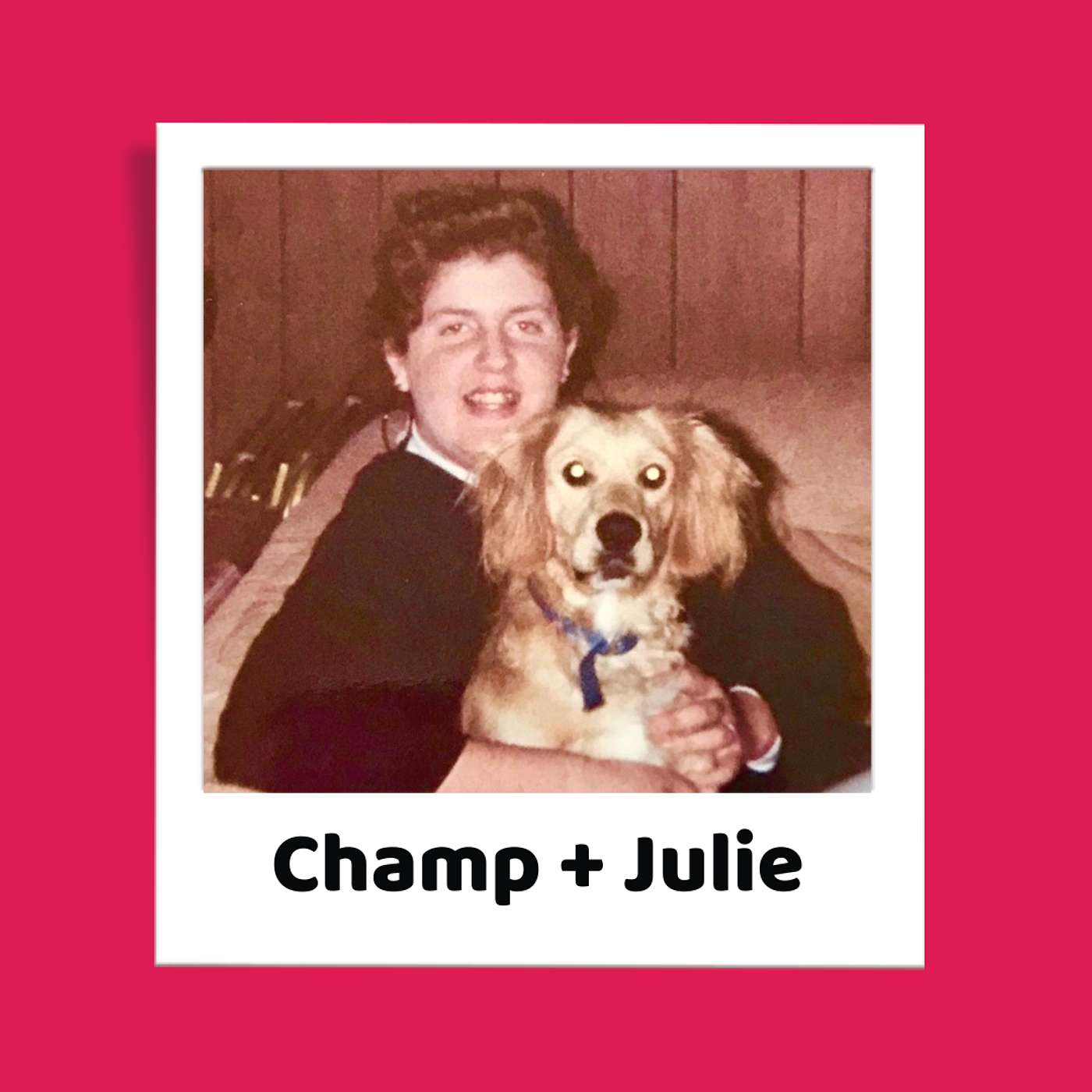Champ episode artwork