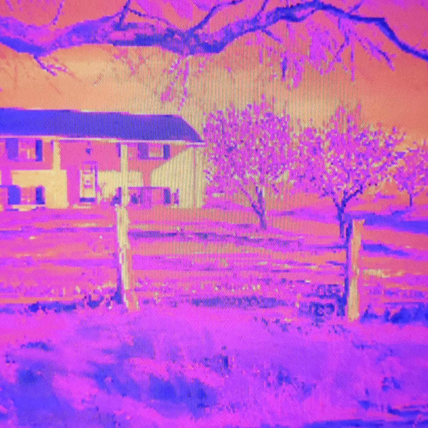 My House Had Ghosts!