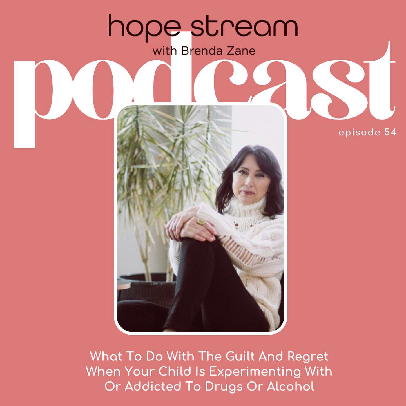 What To Do With The Guilt And Regret When Your Child Is Experimenting With Or Addicted To Drugs Or Alcohol, with Brenda Zane