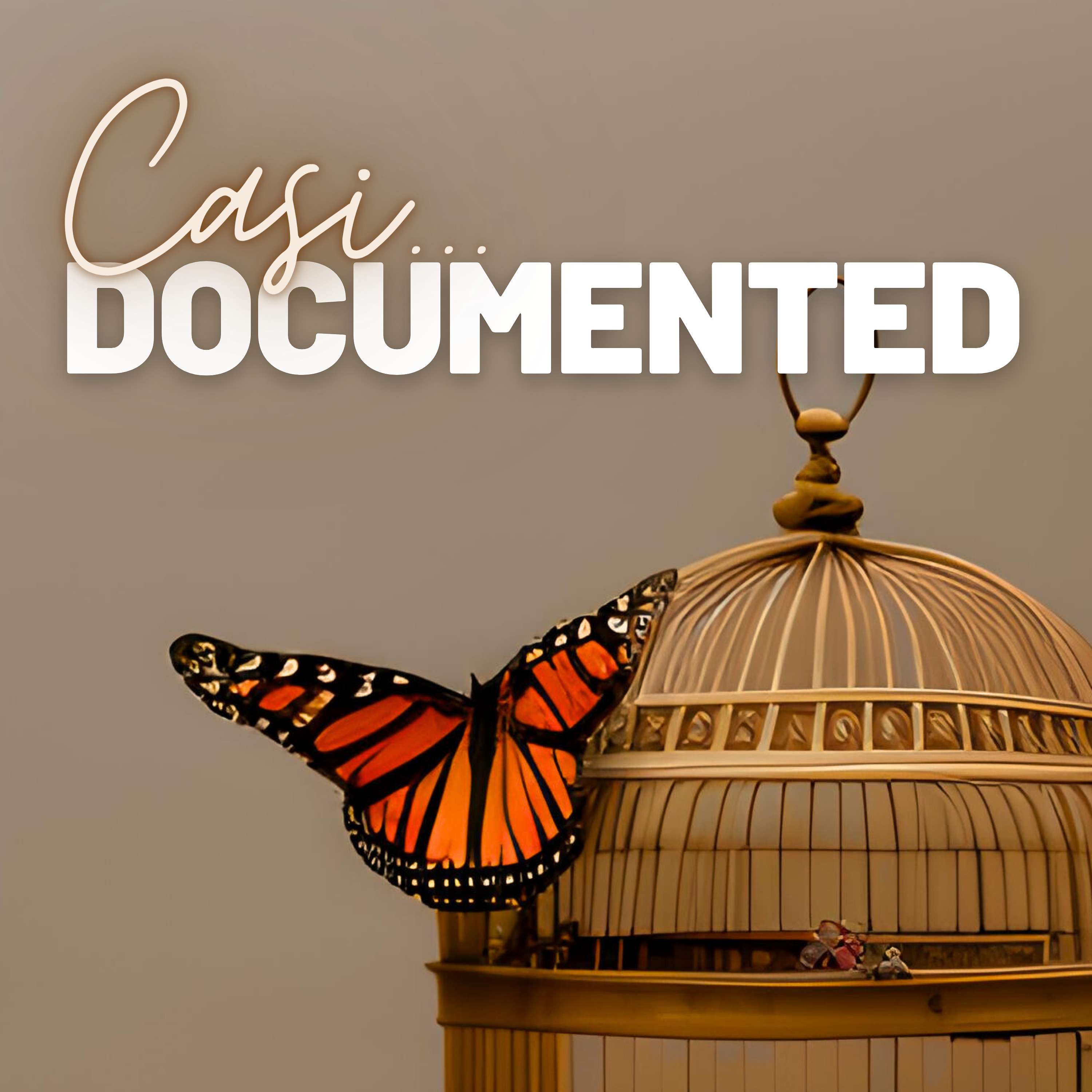 Casi Documented