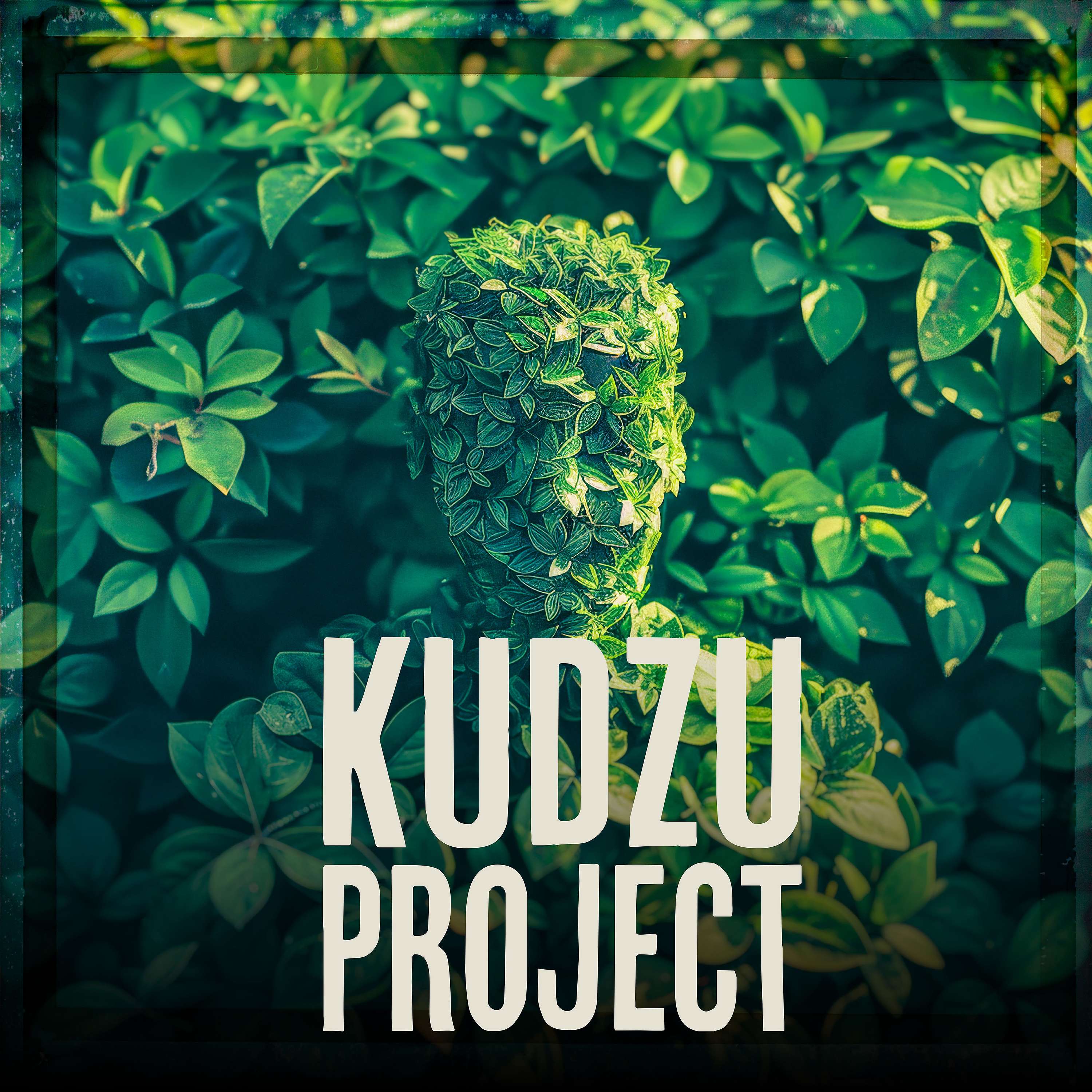 Kudzu Project