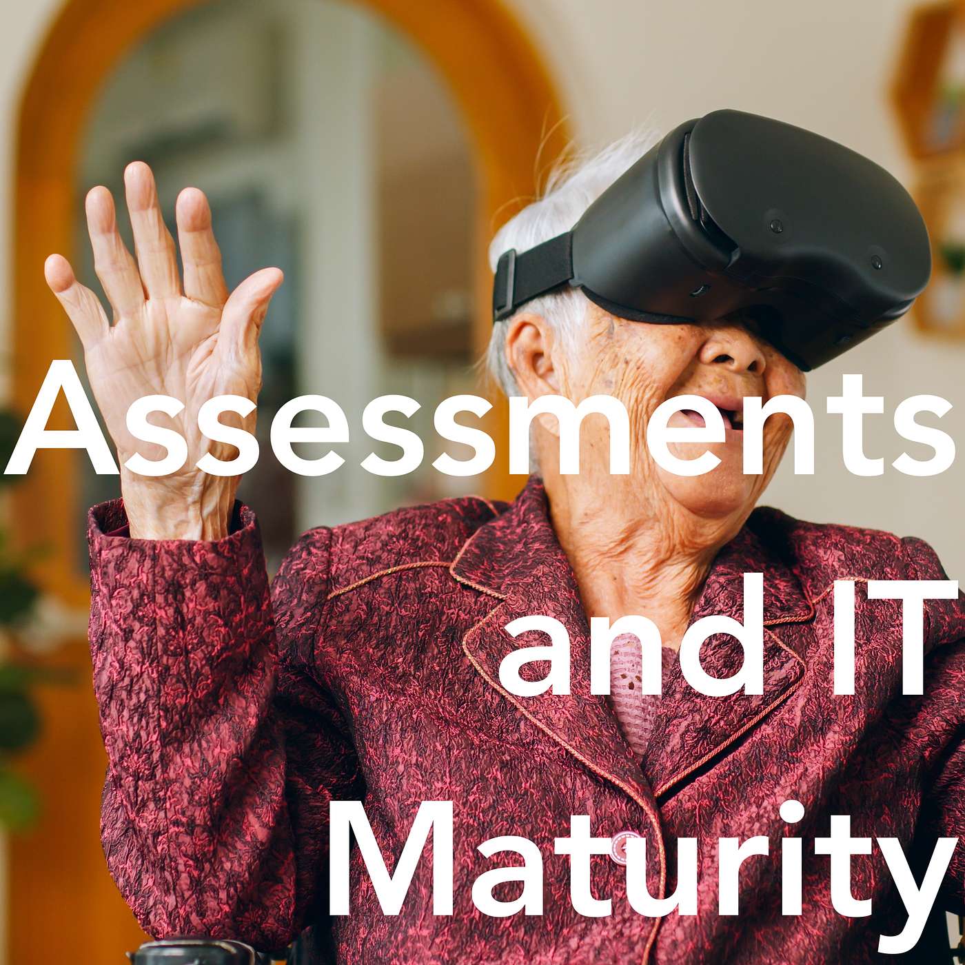 Assessments and IT Maturity with Nura Aboki