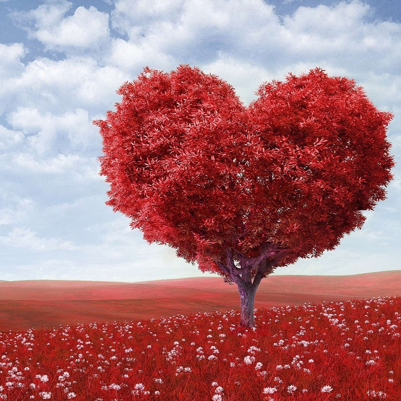 Love Laid Bare Network