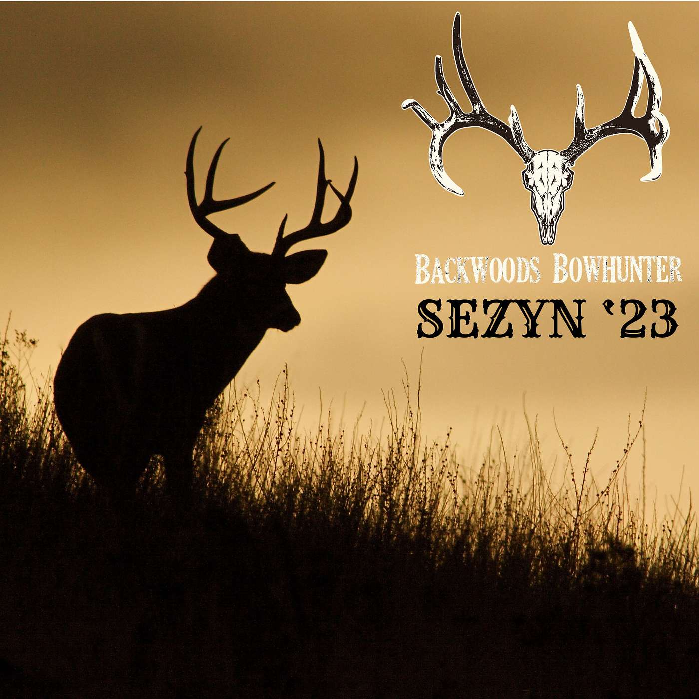 SEZYN / Hunting Will County, Illinois