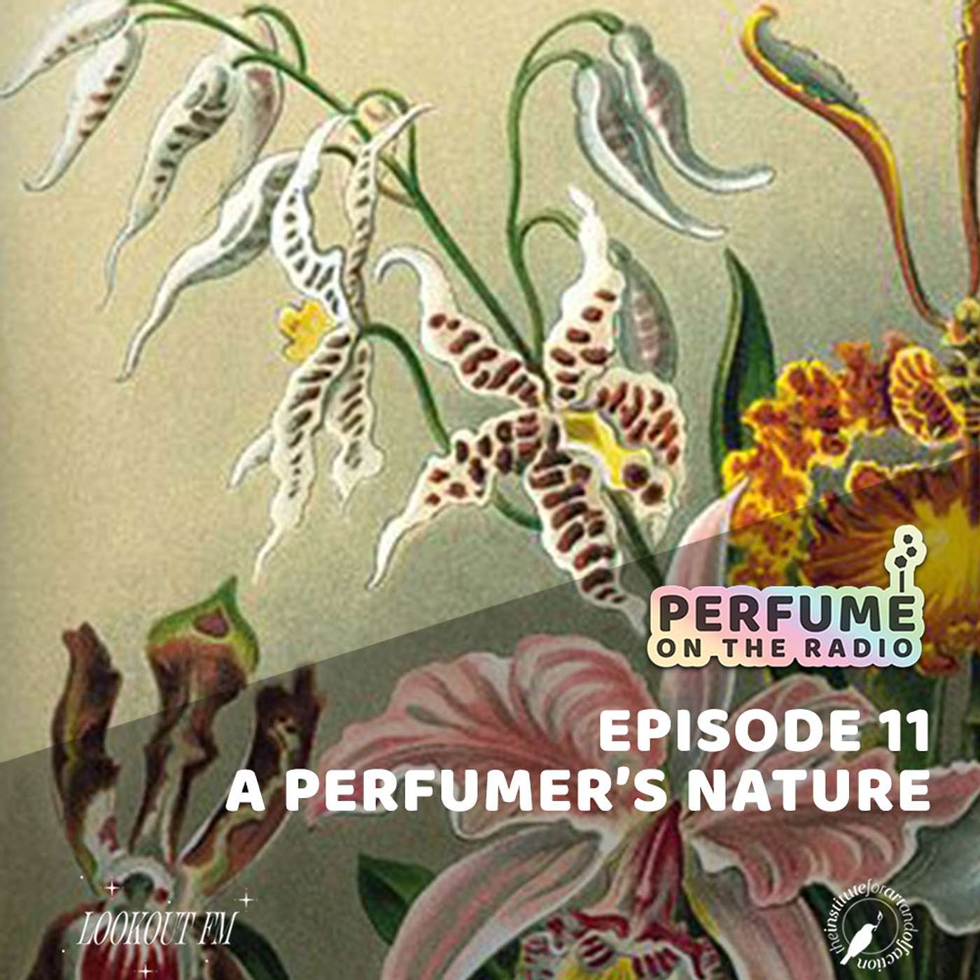 A Perfumer's Nature