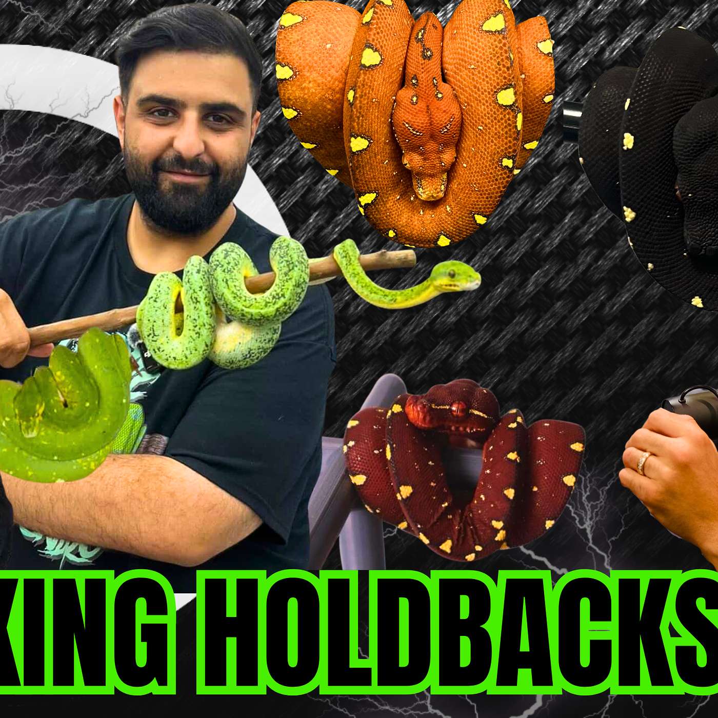 Picking Red Neonate Green Tree Python Holdbacks 101 | All In The Bush Tuesday Ep.789 episode artwork