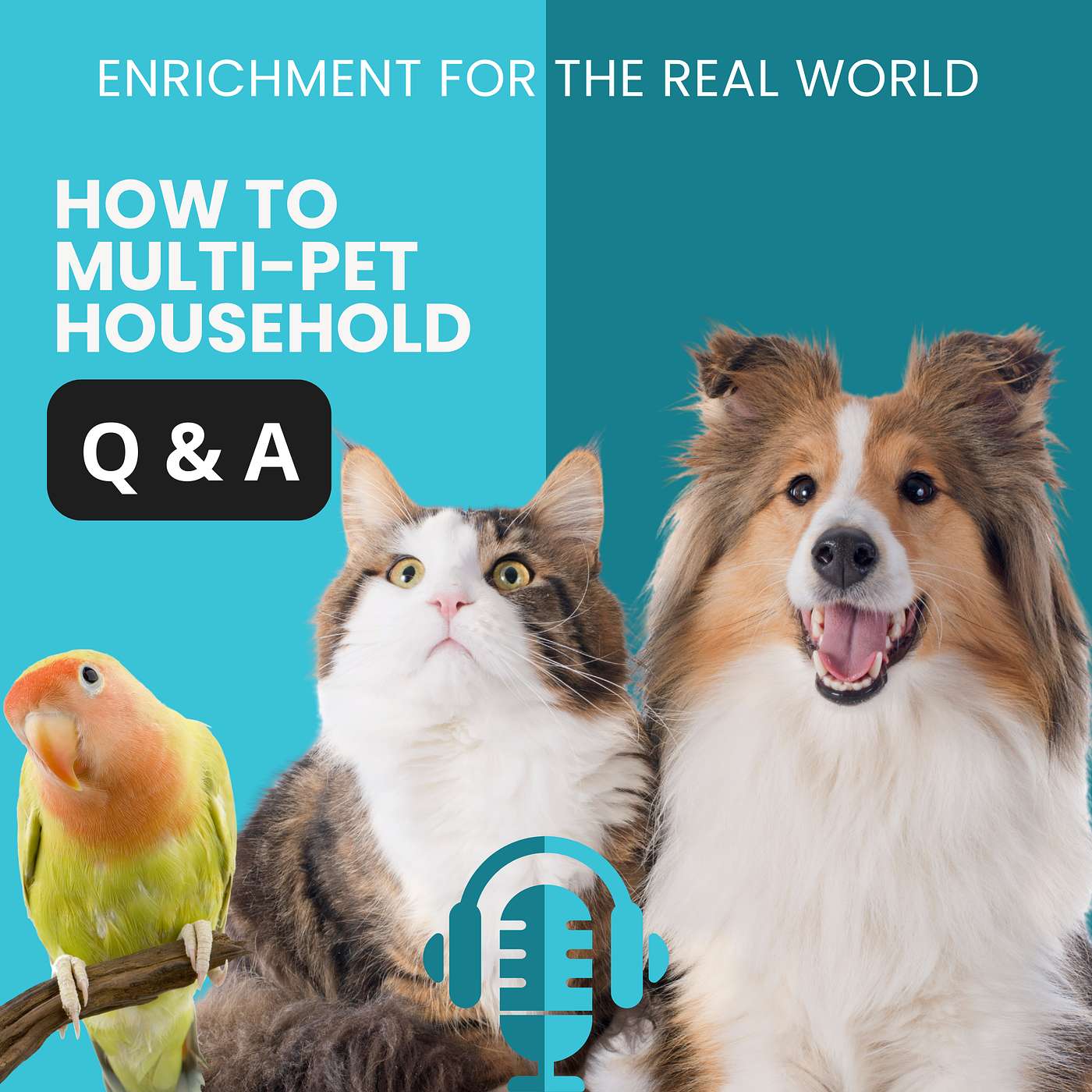 #170 - Q&A: How to Multi-Pet Household