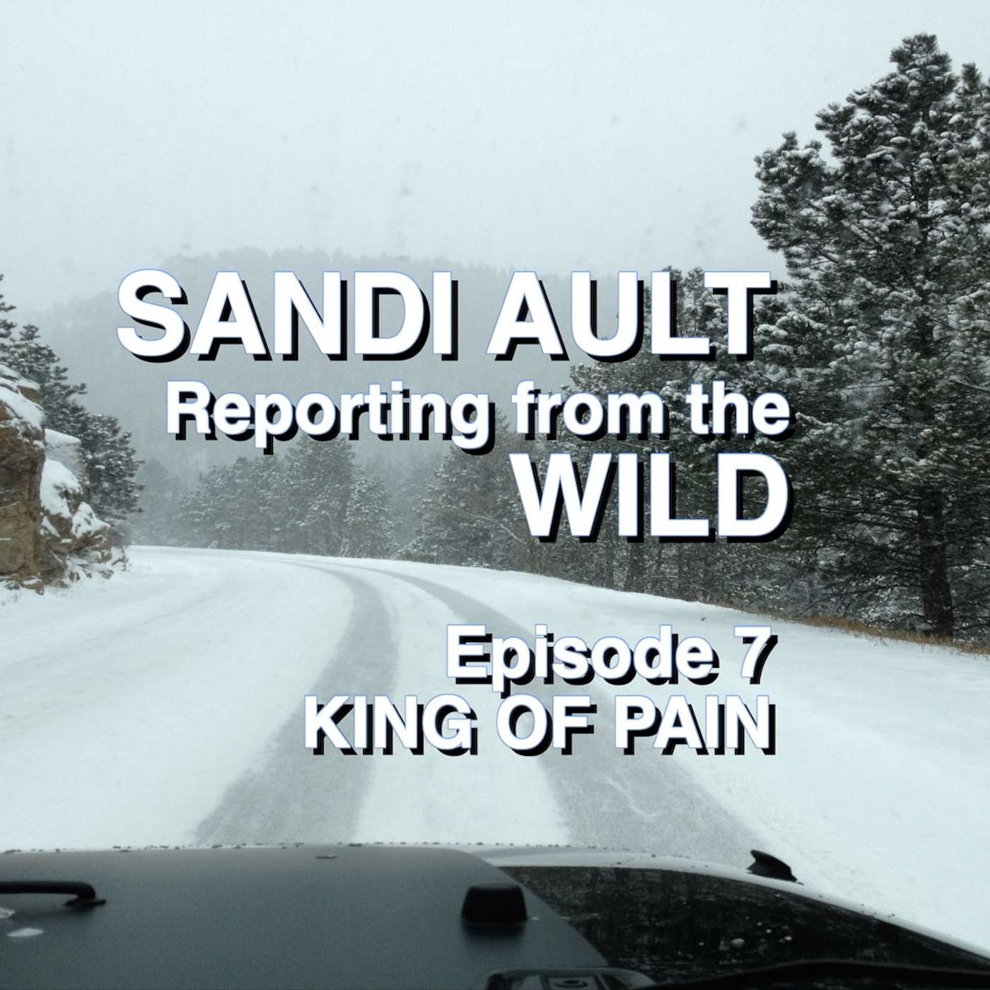 SANDI AULT—Reporting from the WILD
