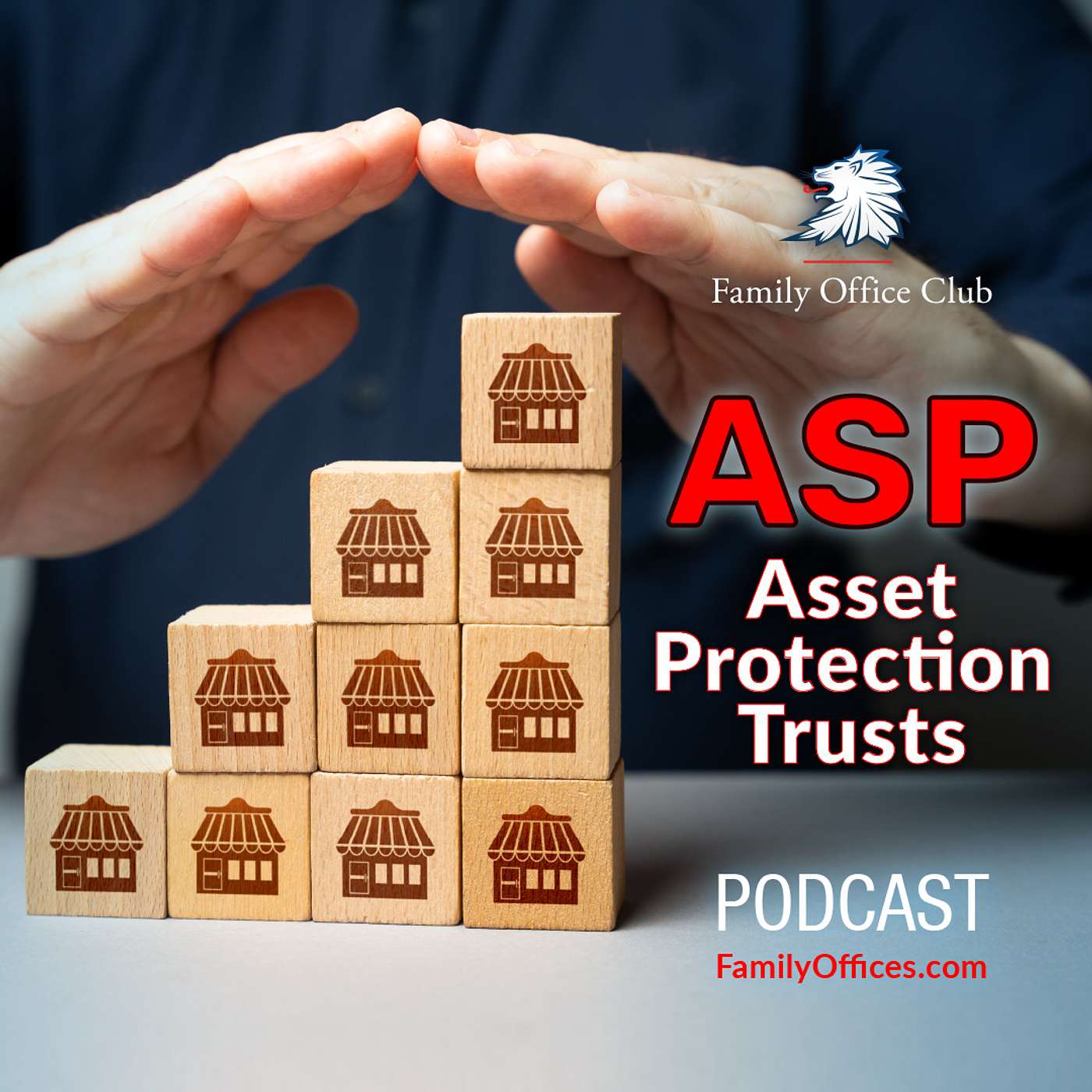 Protect Your Assets from Lawsuits, Creditors, Bankruptcy, and Estate Taxes