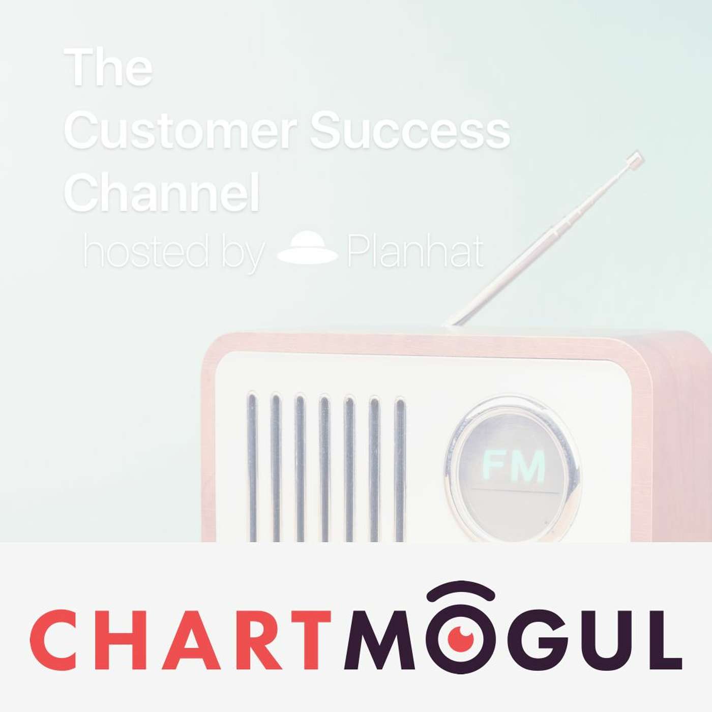 The Customer Success Channel