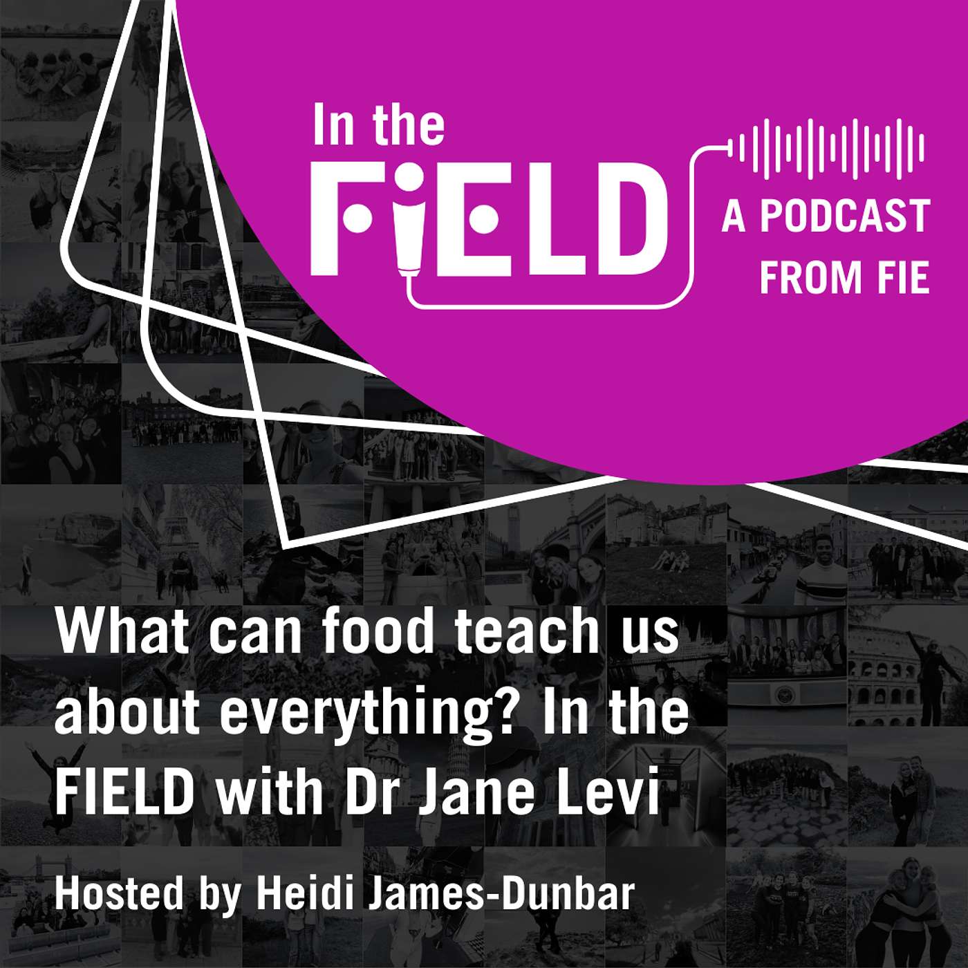 Episode 8: What Can Food Teach Us about Everything? In the FIEld with Dr Jane Levi episode artwork