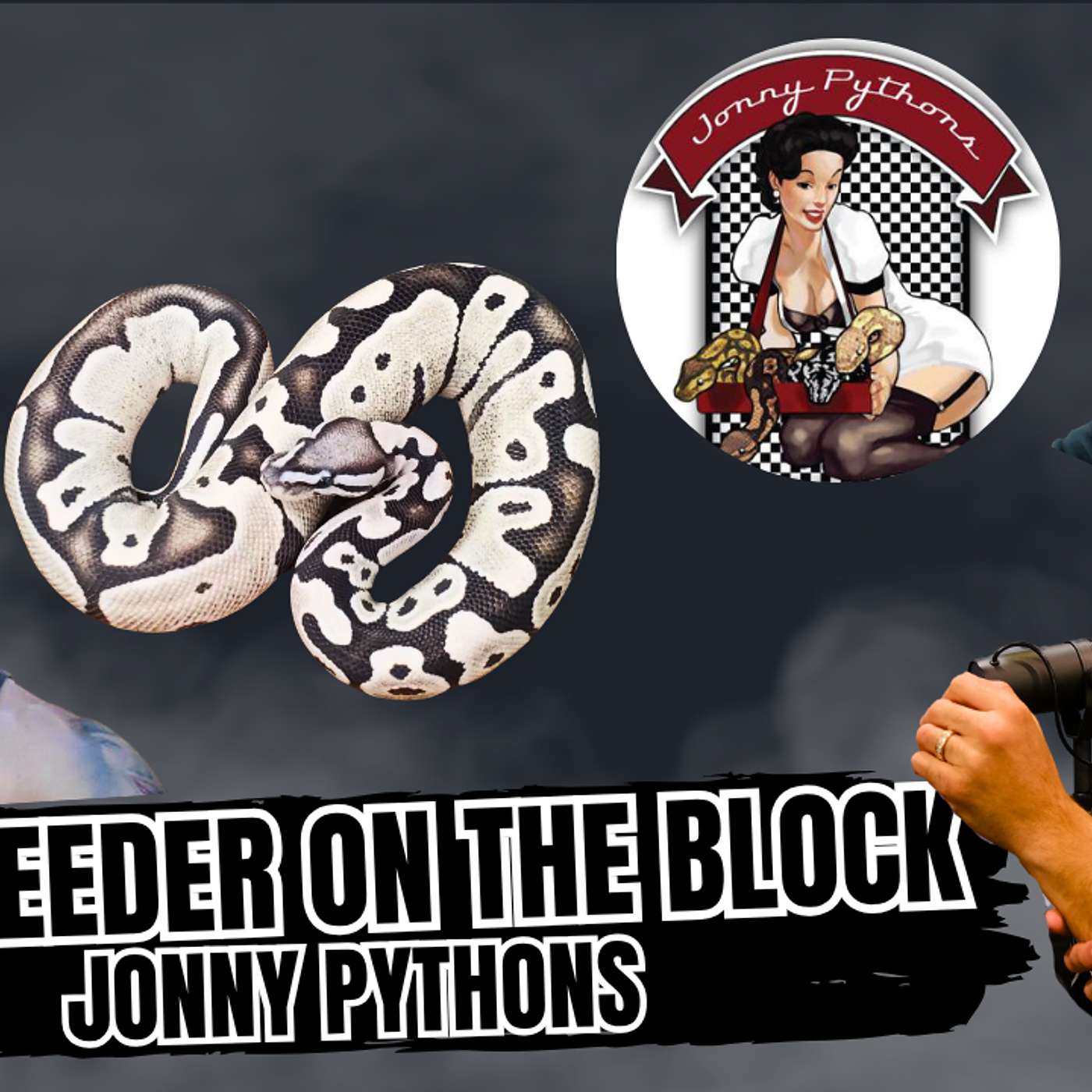 Current Status Of The Canadian Ball Python Market... All Good or All Bad? | NBB Live