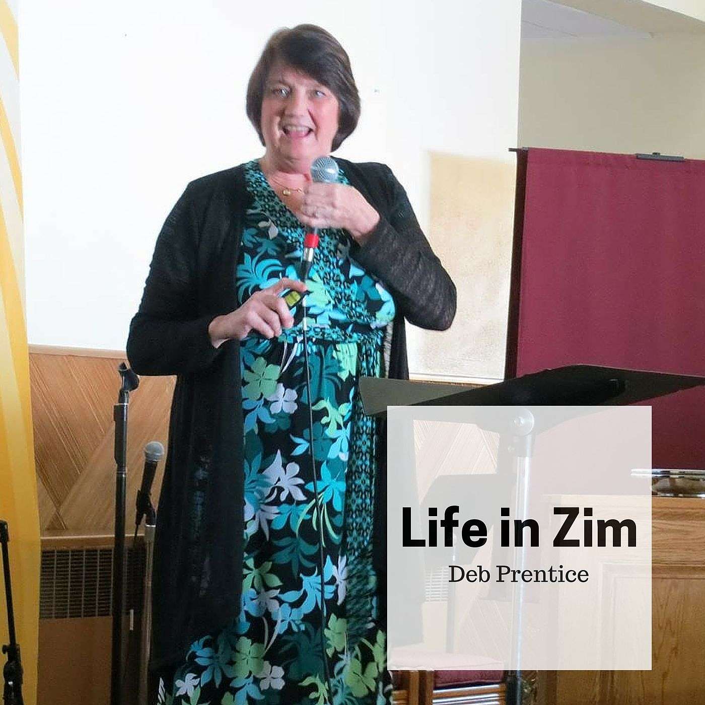 Life in Zim episode artwork