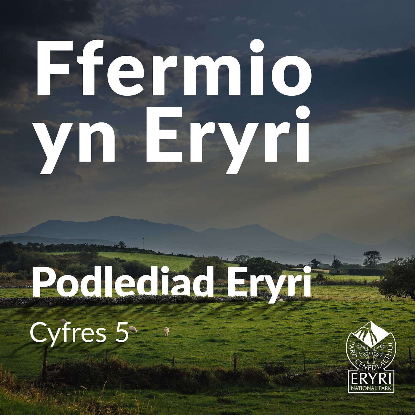 Ffermio yn Eryri: Ymweld â ffermydd yr ardal