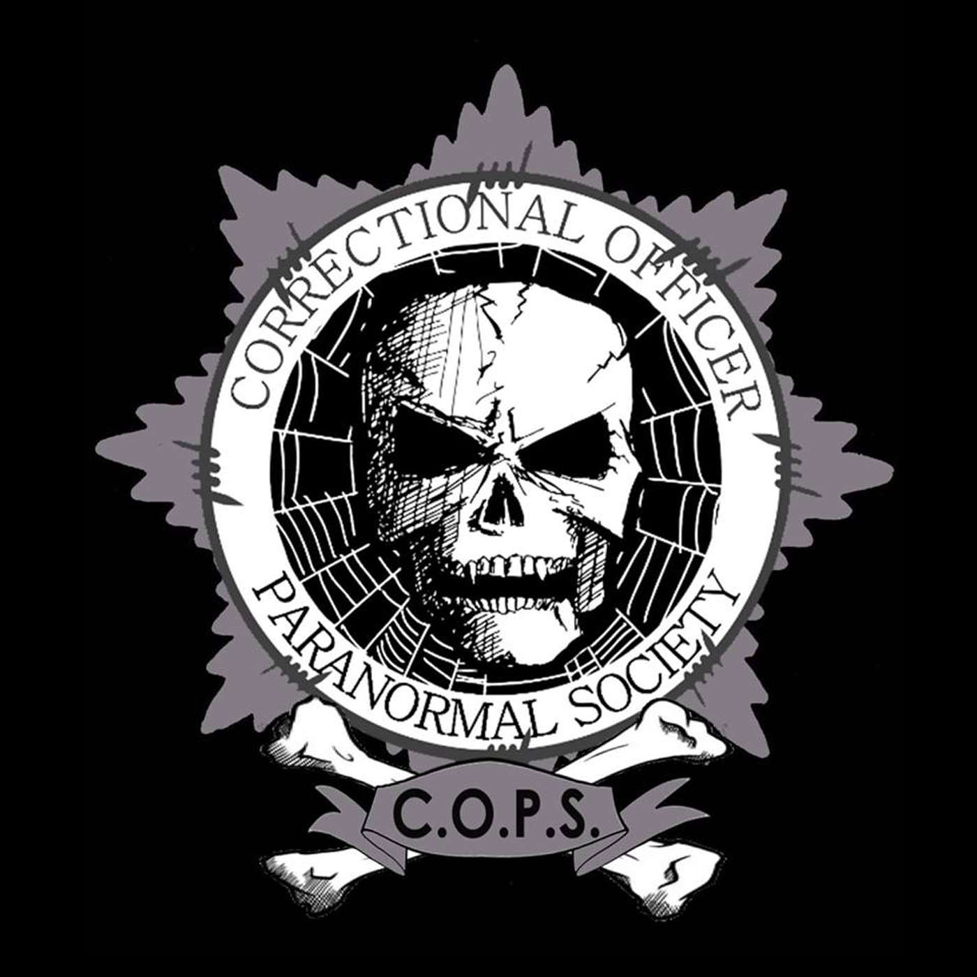 The ParaUnity Podcast
