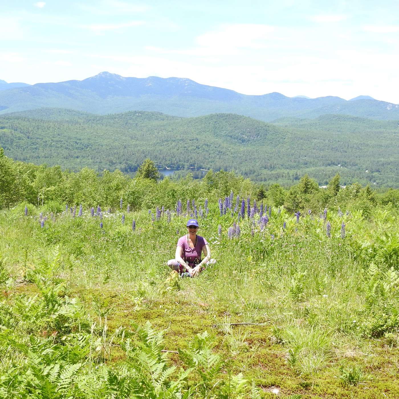 MEDITATING IN THE LUPINE FIELD