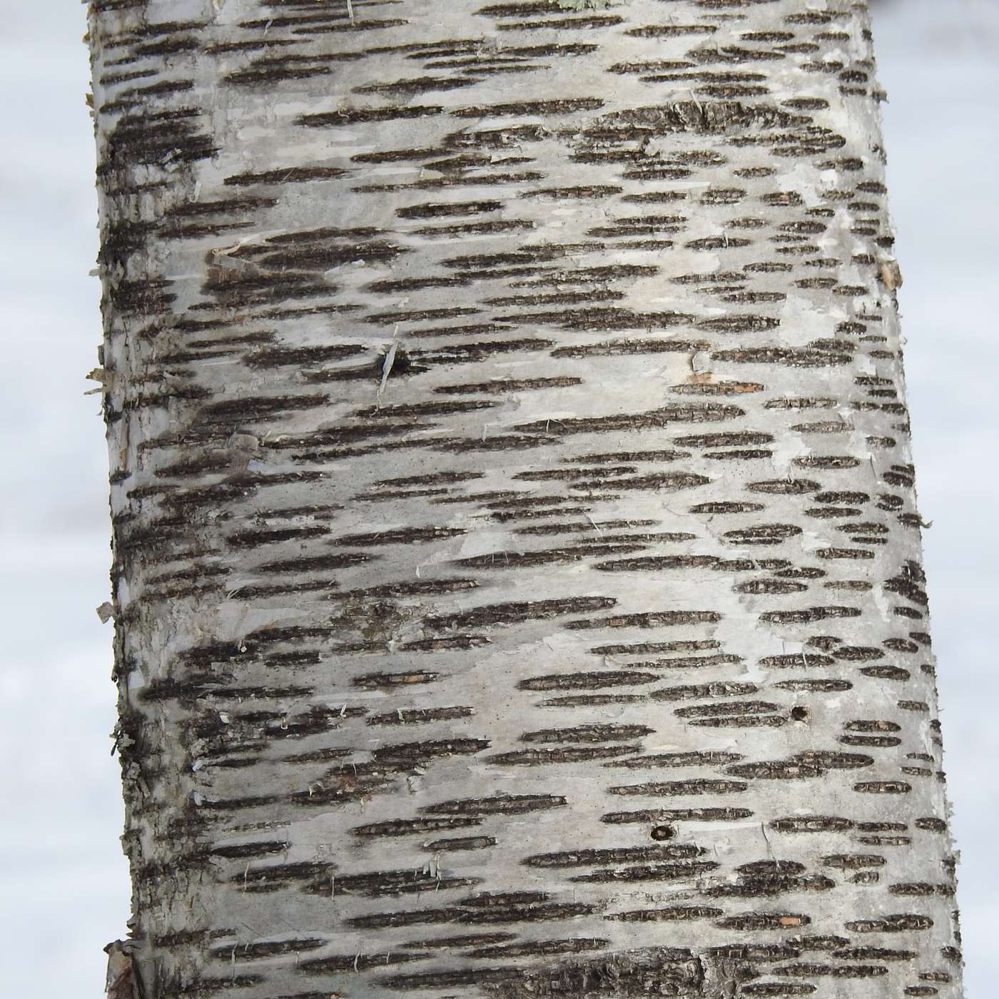 THOUGHTS ON TEXTURES