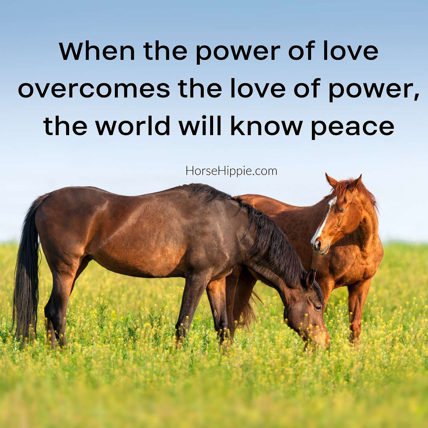 The Power of Love