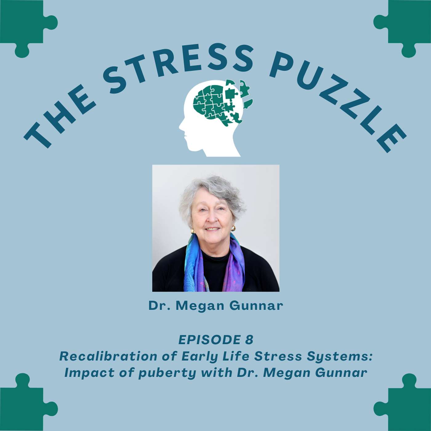 The Stress Puzzle