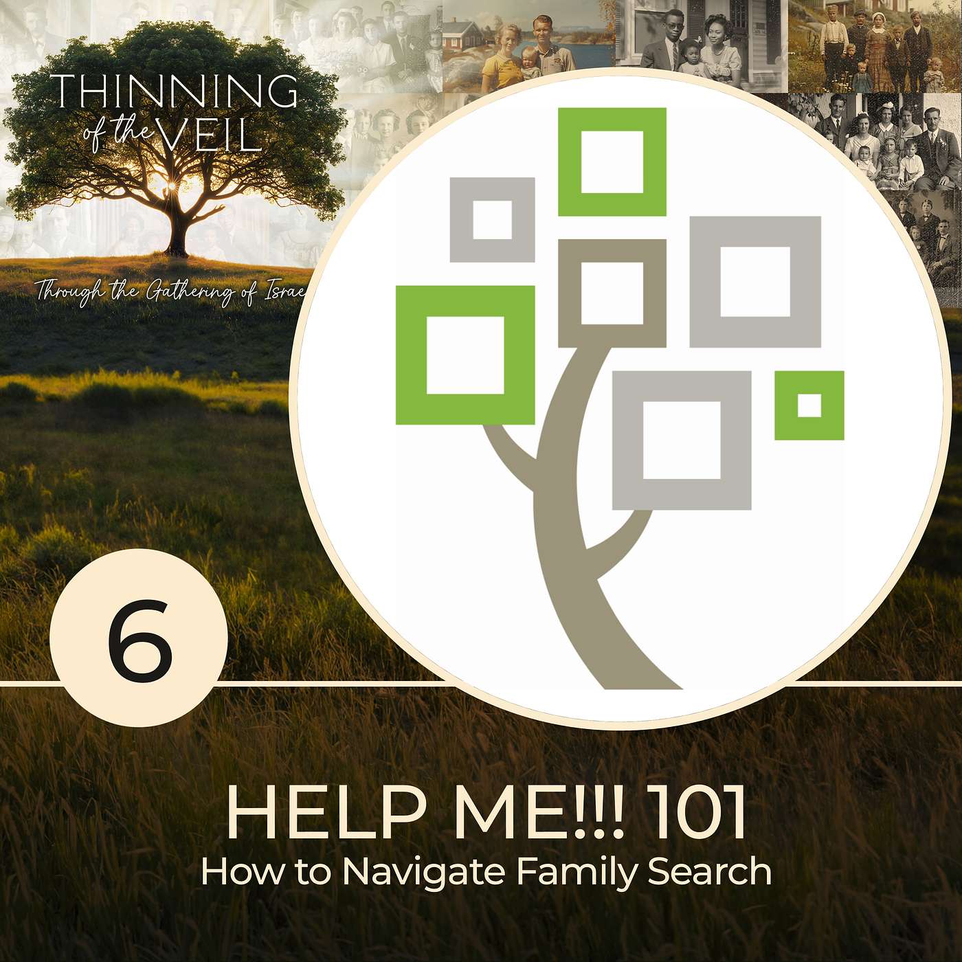 HELP ME 101!!!! How to Navigate Family Search episode artwork