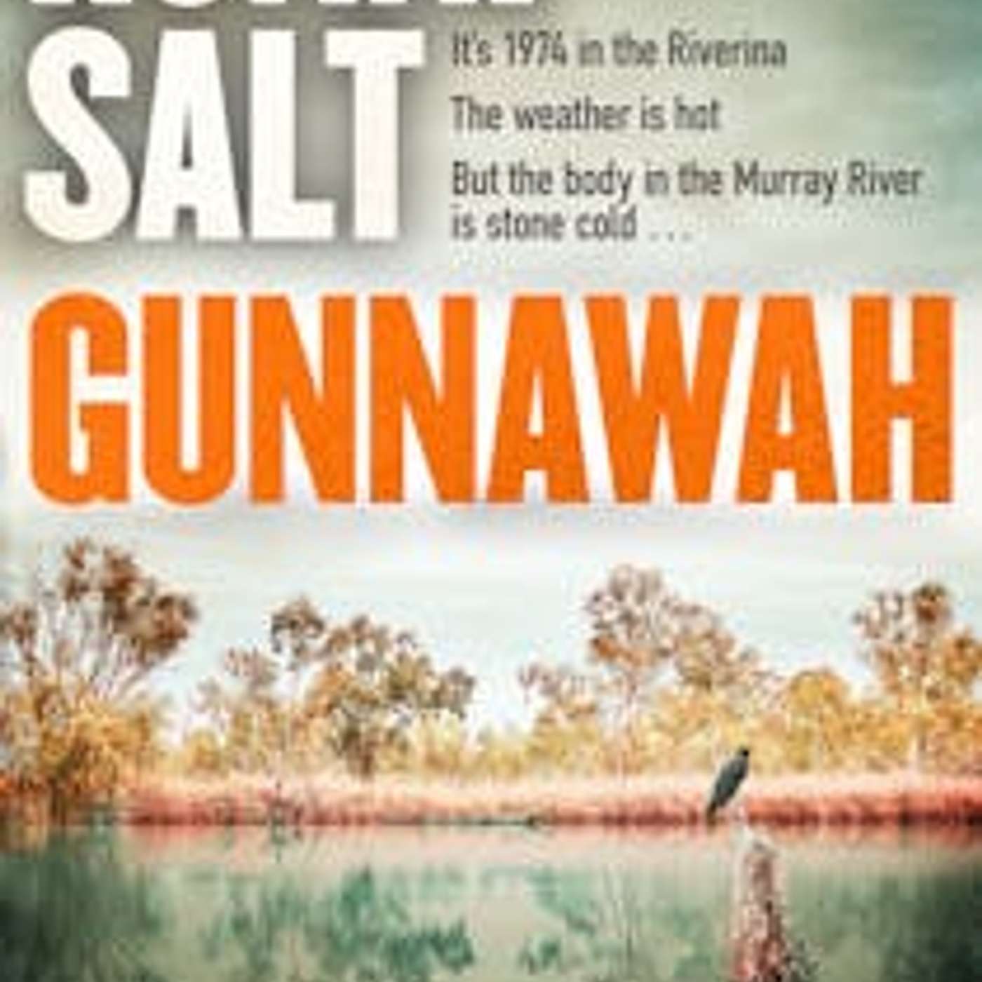 Ronni Salt on her debut crime thriller about guns, drugs and small town life in 'Gunnawah' episode artwork