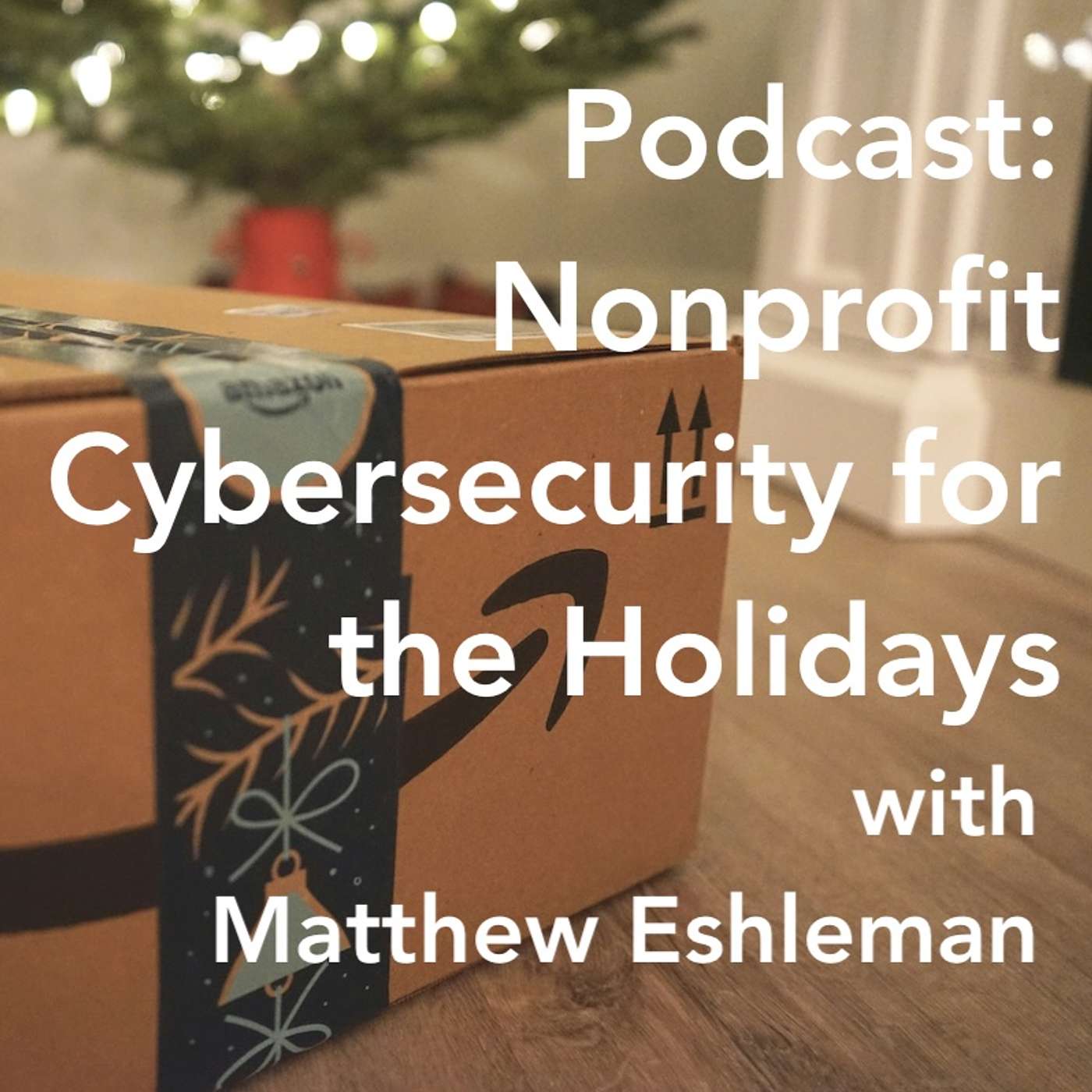 Nonprofit Cybersecurity for the Holidays with Matthew Eshleman