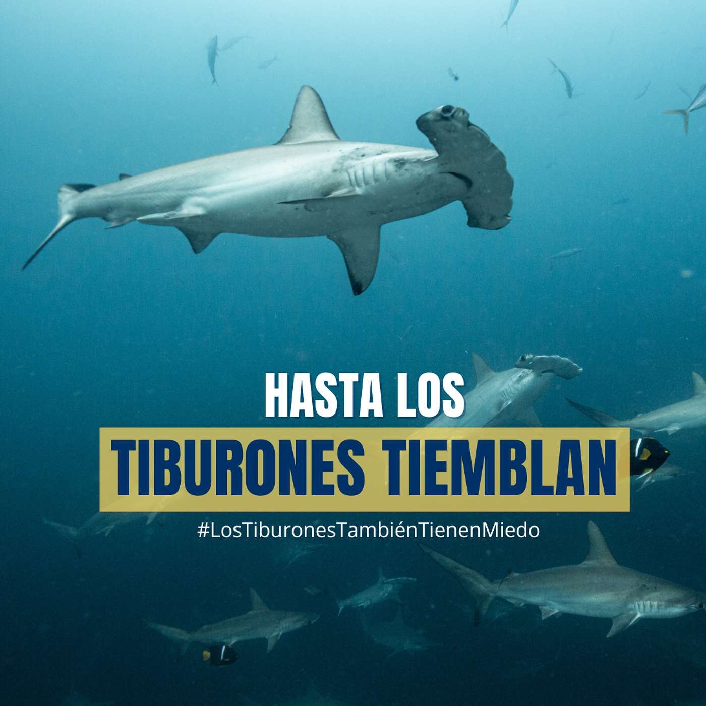 “Si el miedo y el éxito no están peleados… ¿por qué temerle al miedo?” | Gerardo del Villar | Bitácora #4