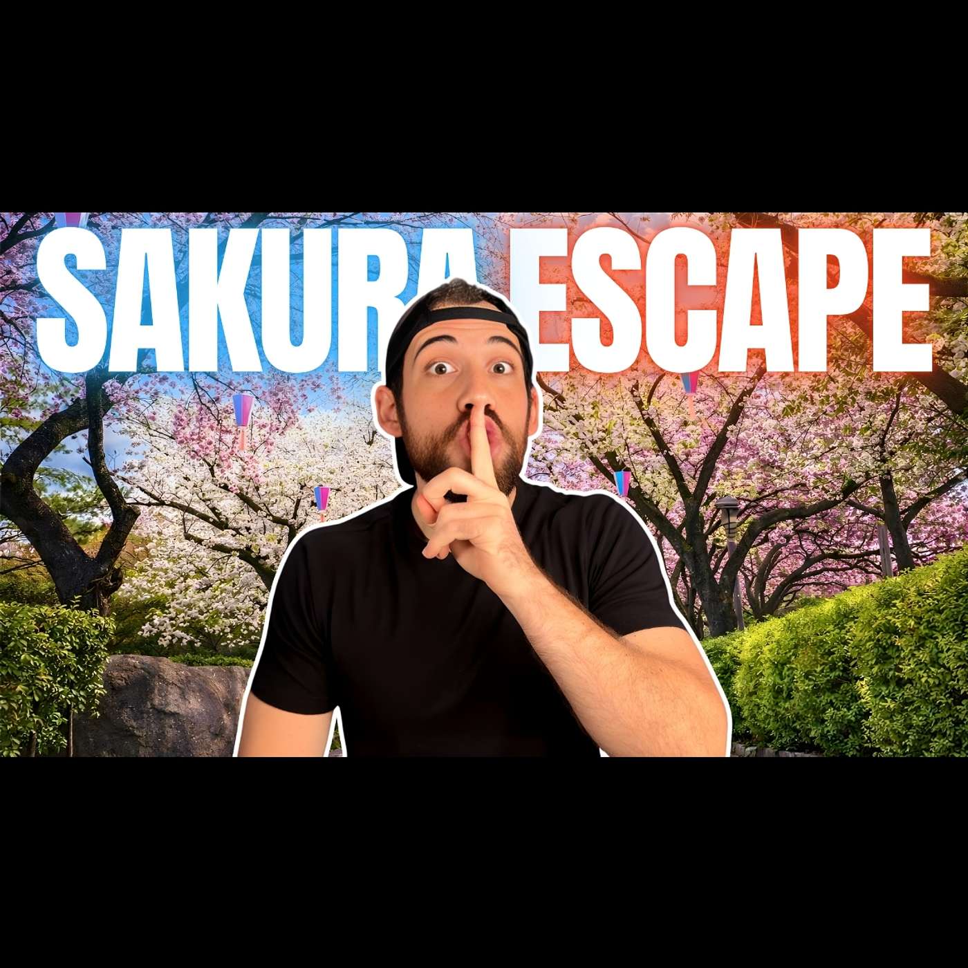 The Cherry Blossom Park Tourists Never Visit episode artwork