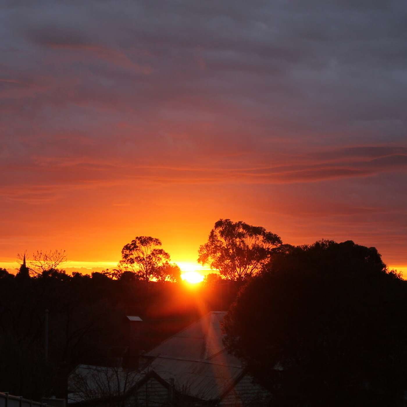 Episode 1637 - Wake up the morning...
