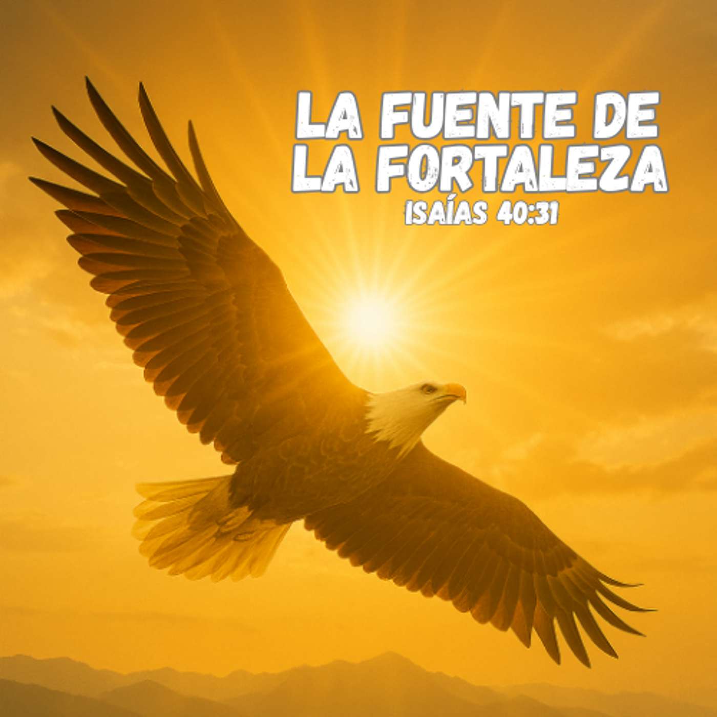 Blueprint for Men-Español