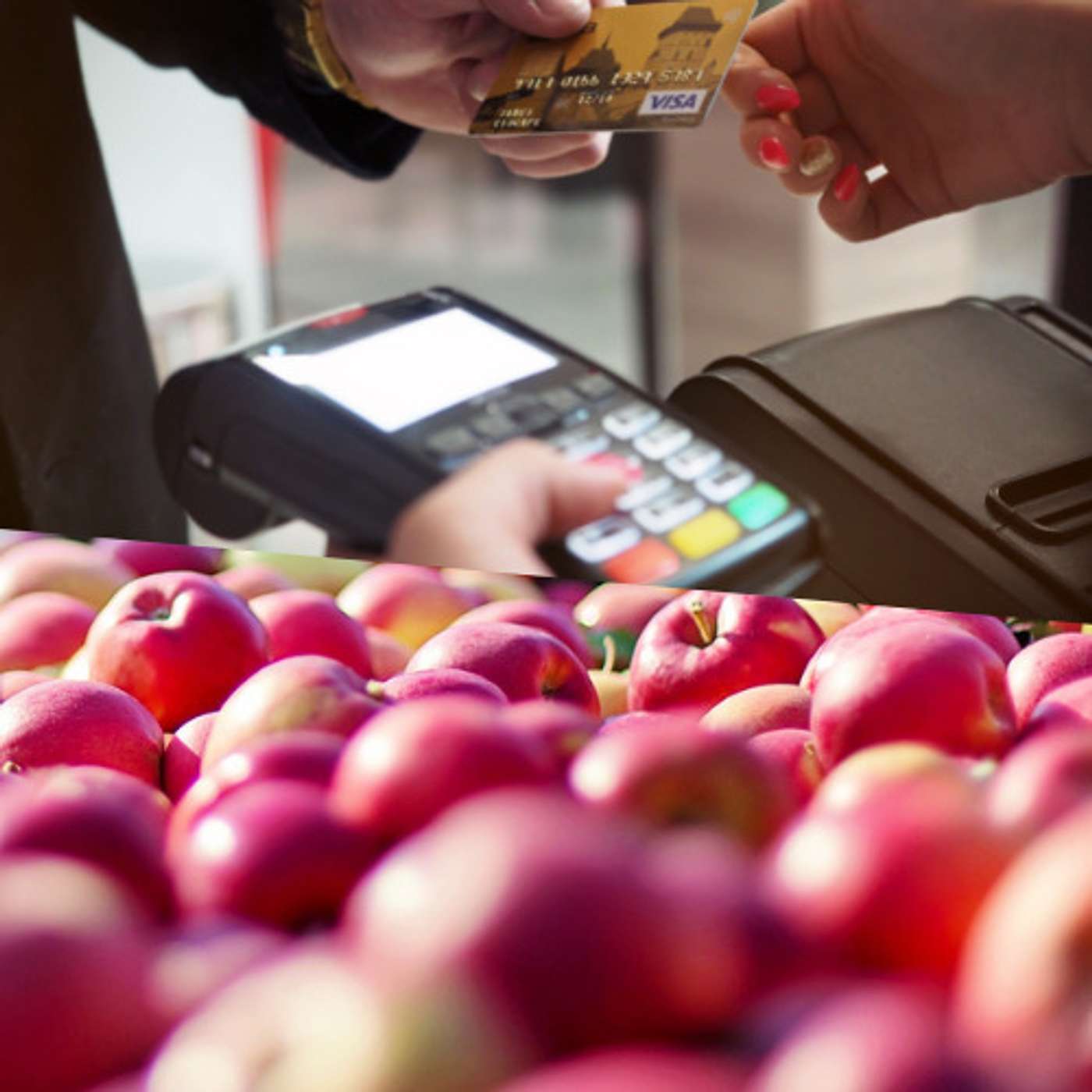 The Cornerstones of Healthy Food Systems