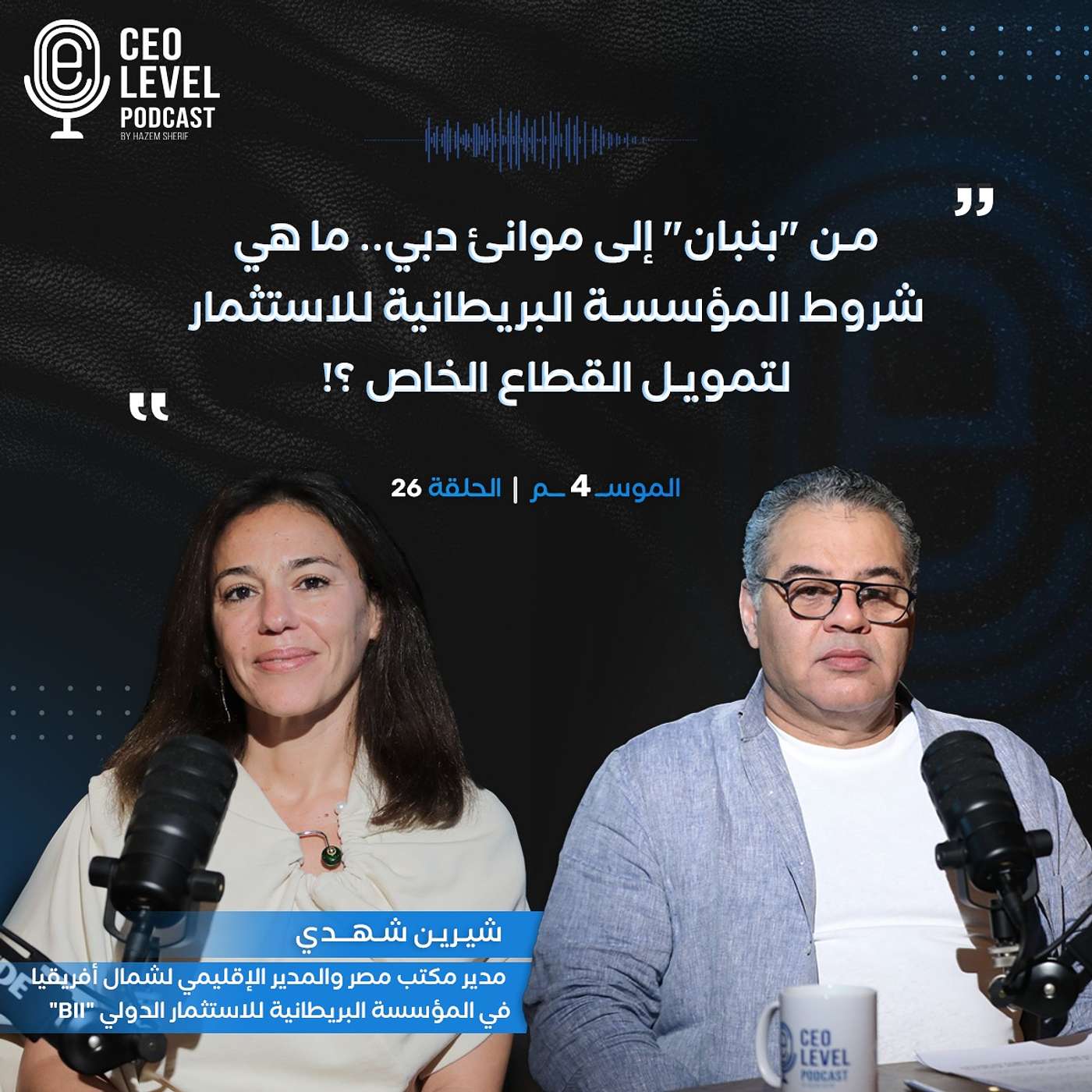 من "بنبان" إلى موانئ دبي.. ما هي شروط المؤسسة البريطانية للاستثمار لتمويل القطاع الخاص ؟!