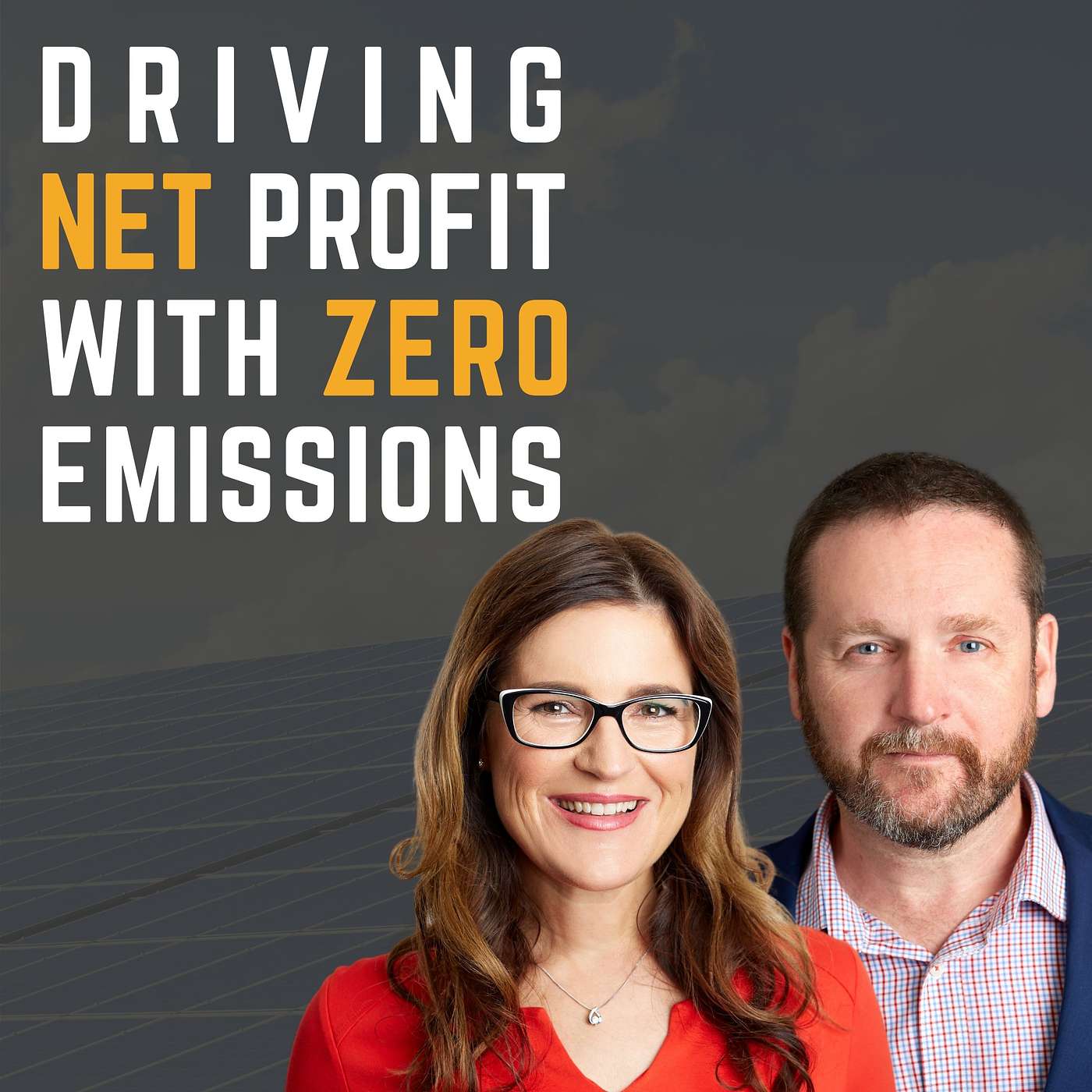 Driving Net Profit with Zero Emissions