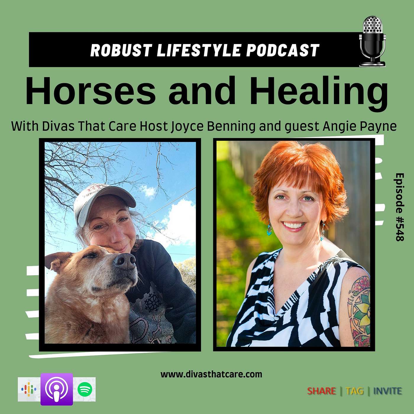 Horses and Healing episode artwork