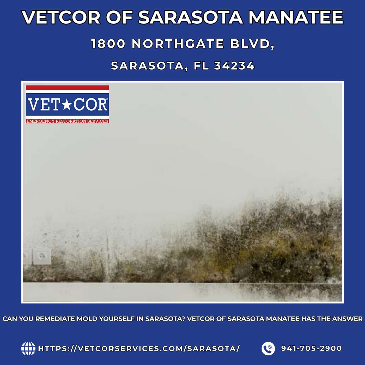 Can You Remediate Mold Yourself in Sarasota? VetCor of Sarasota Manatee Has the Answer episode artwork