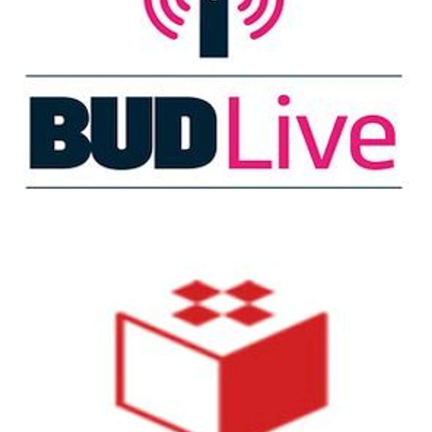 BUDLive 1.budějovický podcast