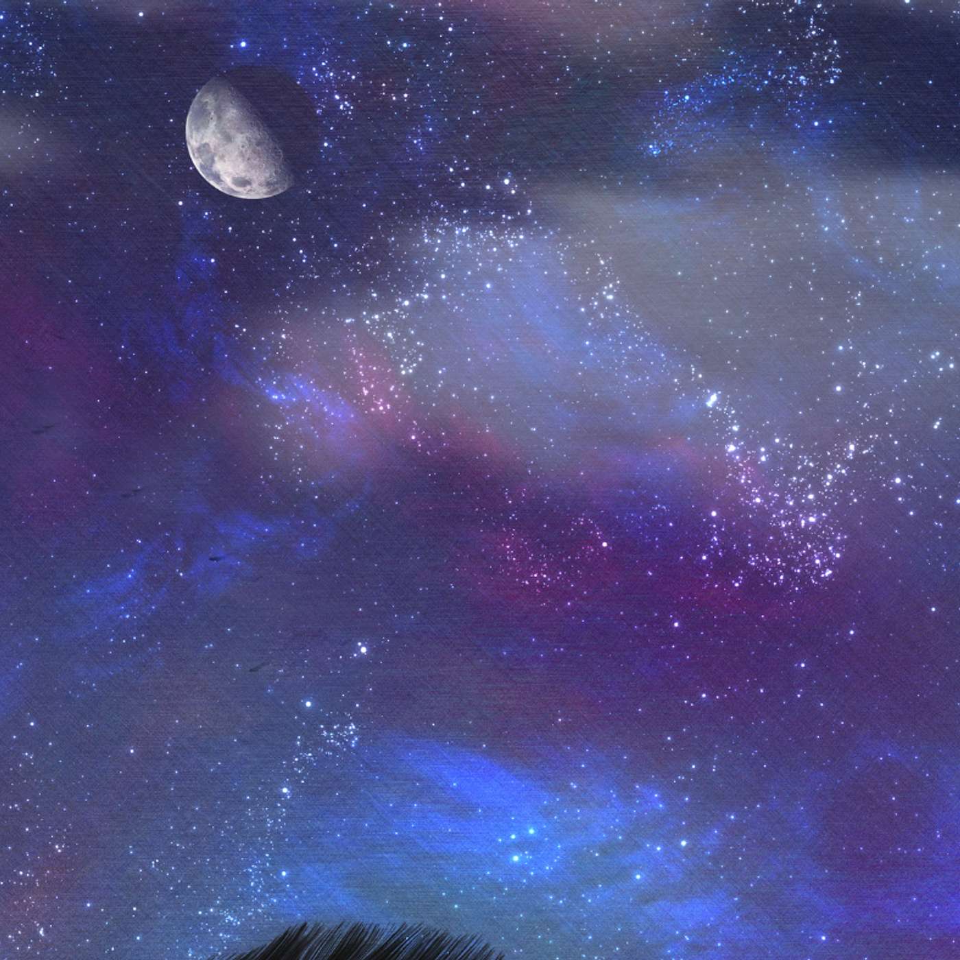🌙 Unwind the Day: A Meditation for Rest