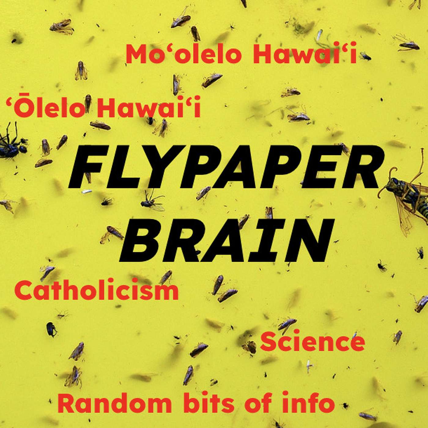 Flypaper Brain