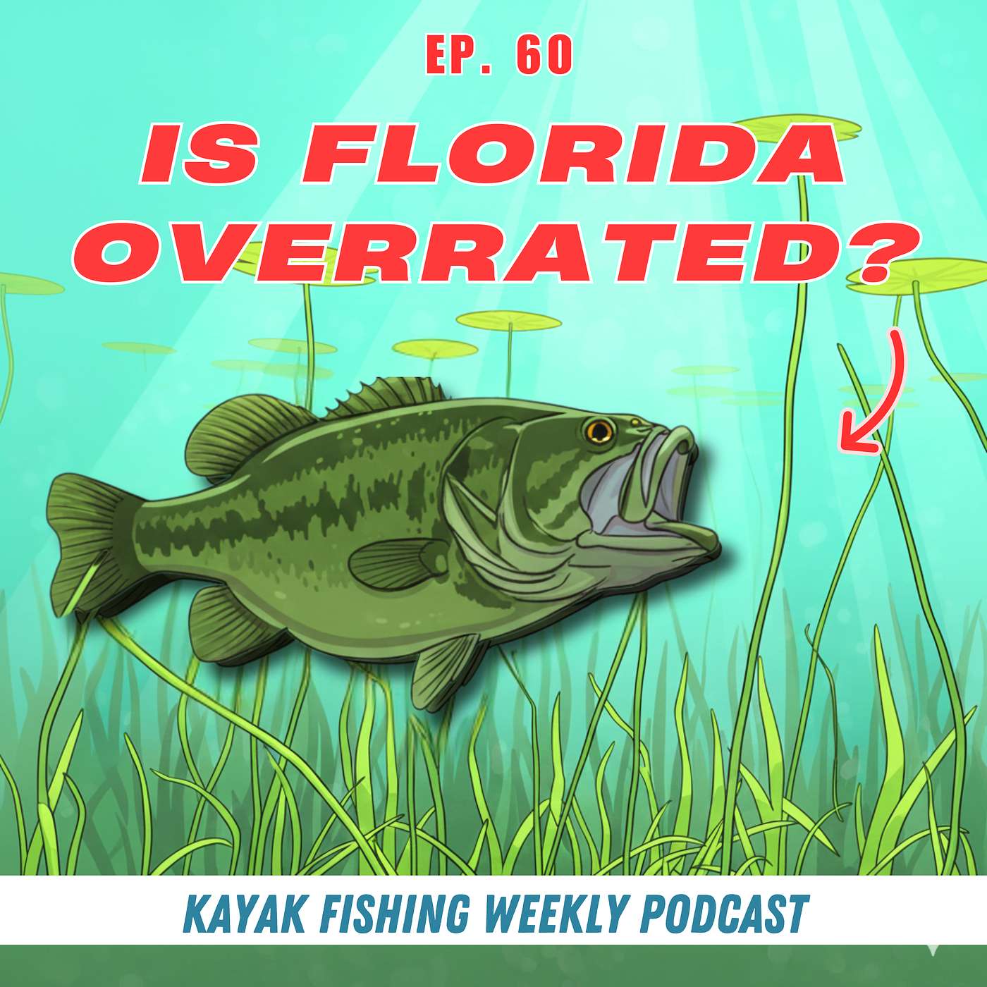 Is Florida Overrated for Bass Fishing? (The Truth)