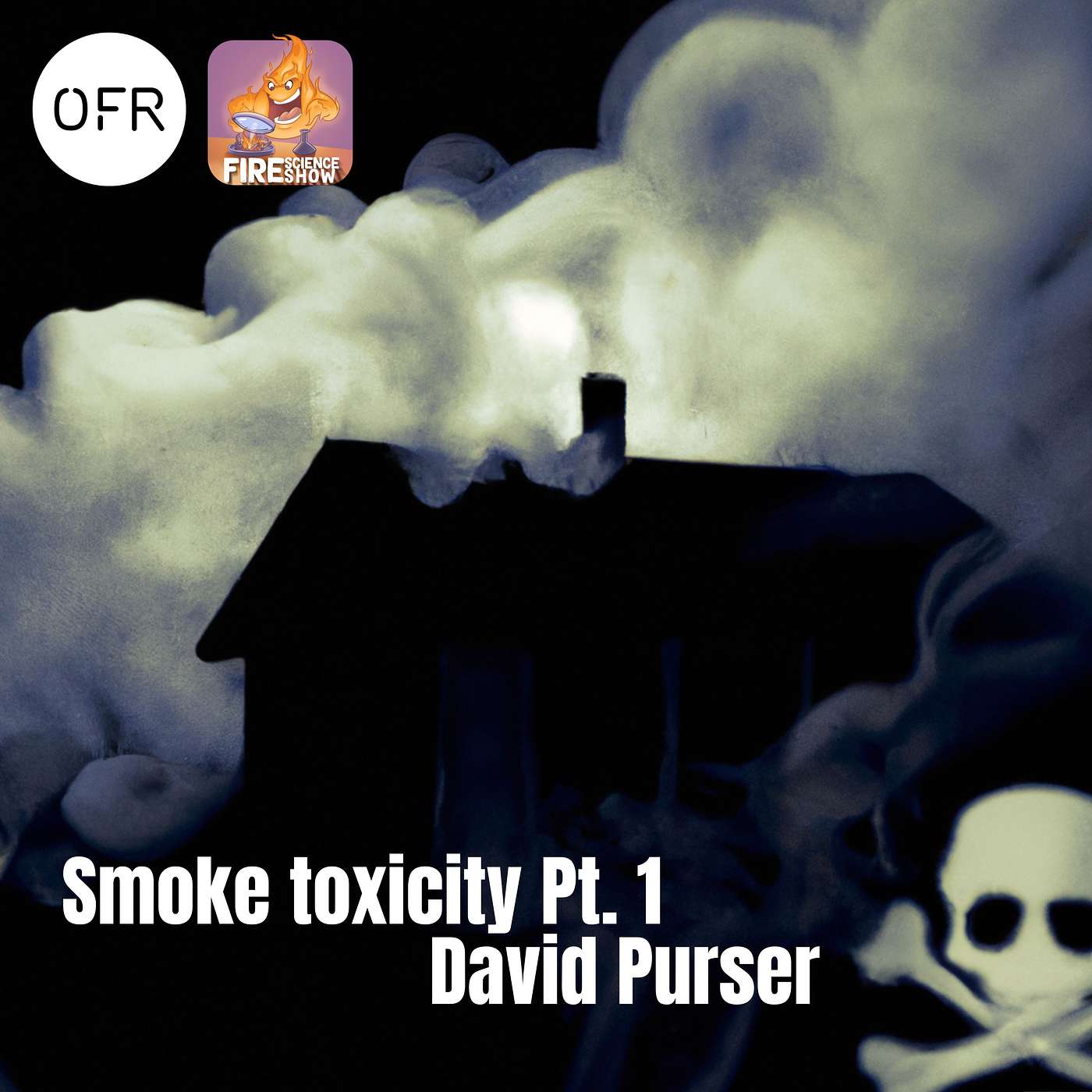 096 - Smoke toxicity (Part 1) Why fires used to be less toxic in 1950's? with David Purser