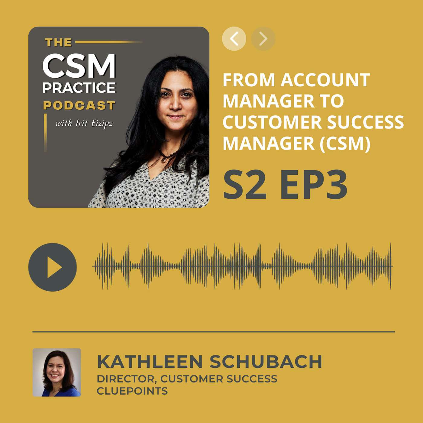 CSM Practice - The Customer Success Podcast
