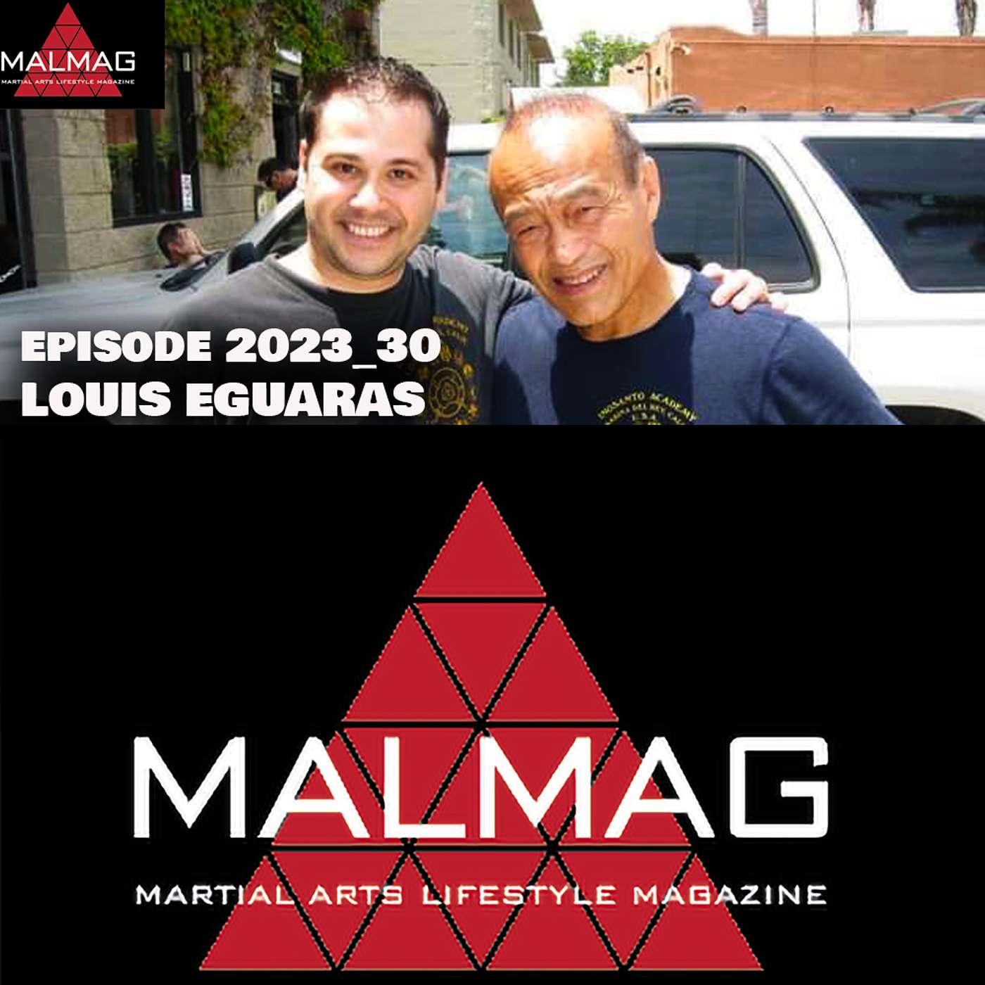 The Martial Arts Lifestyle Podcast