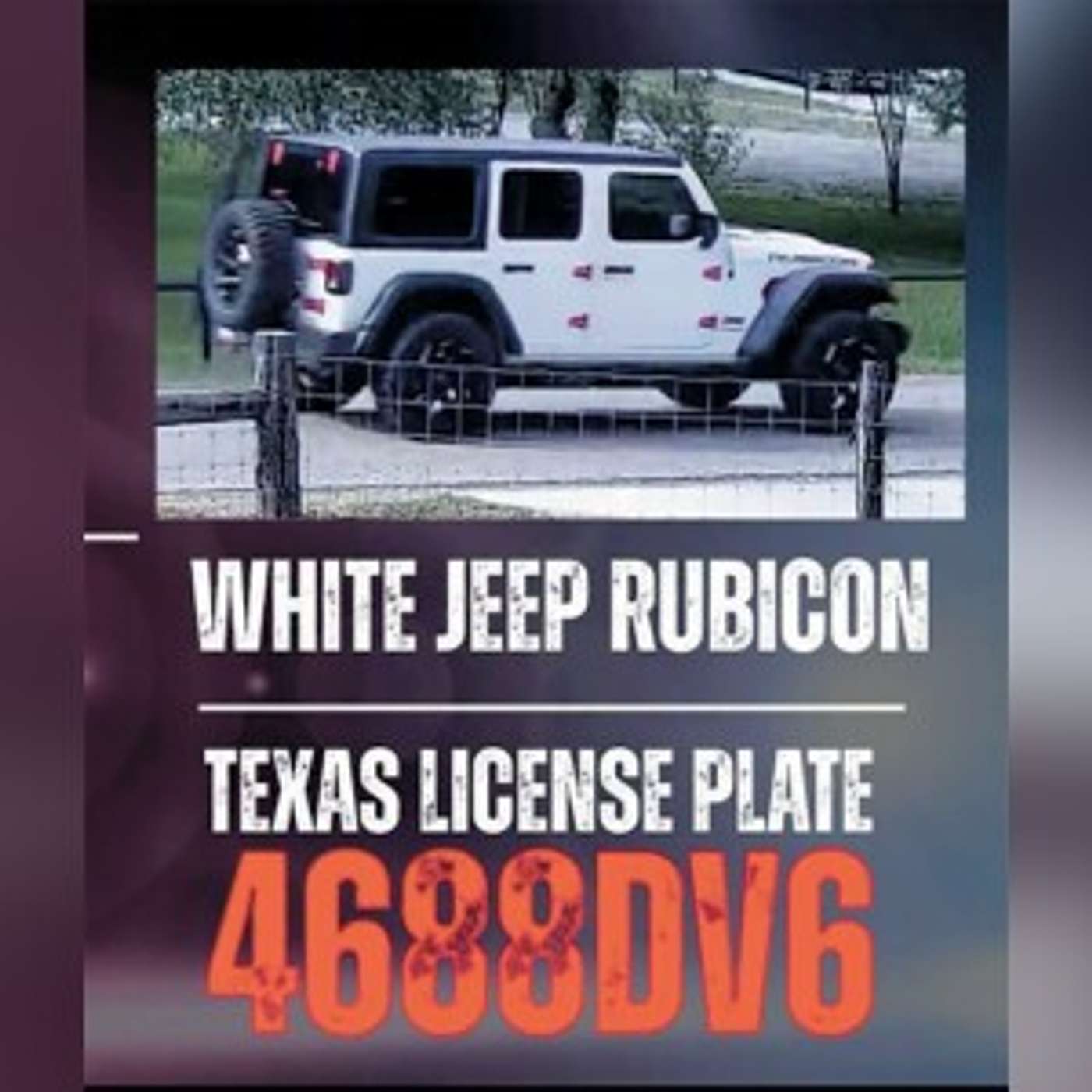 Public assistance sought in July 11 hit-and-run episode artwork
