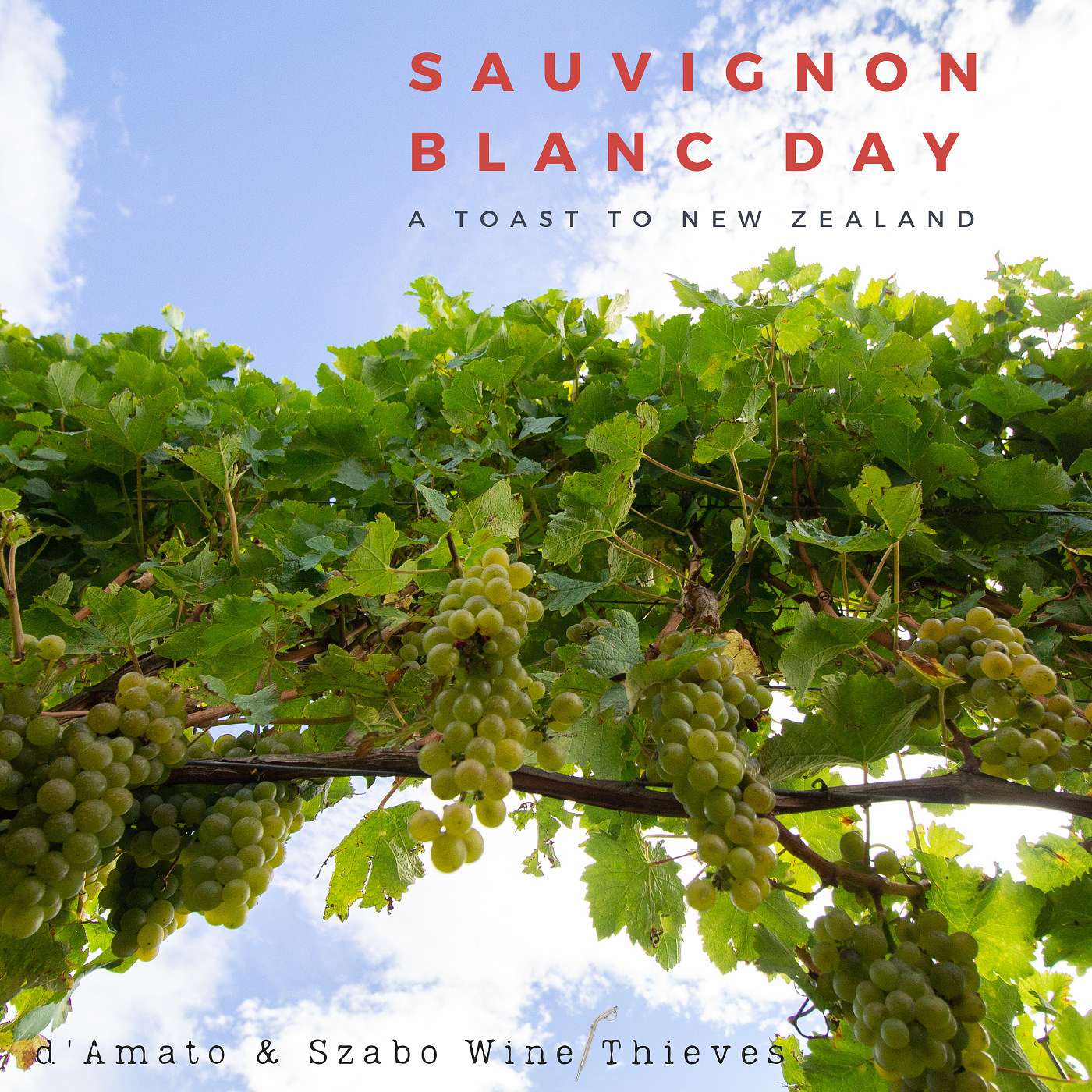 D’Amato & Szabo: Wine Thieves