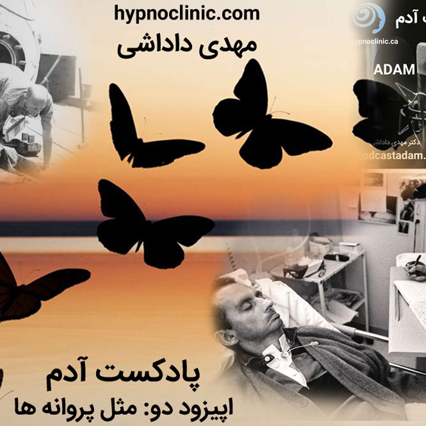 دو- مثل پروانه ها