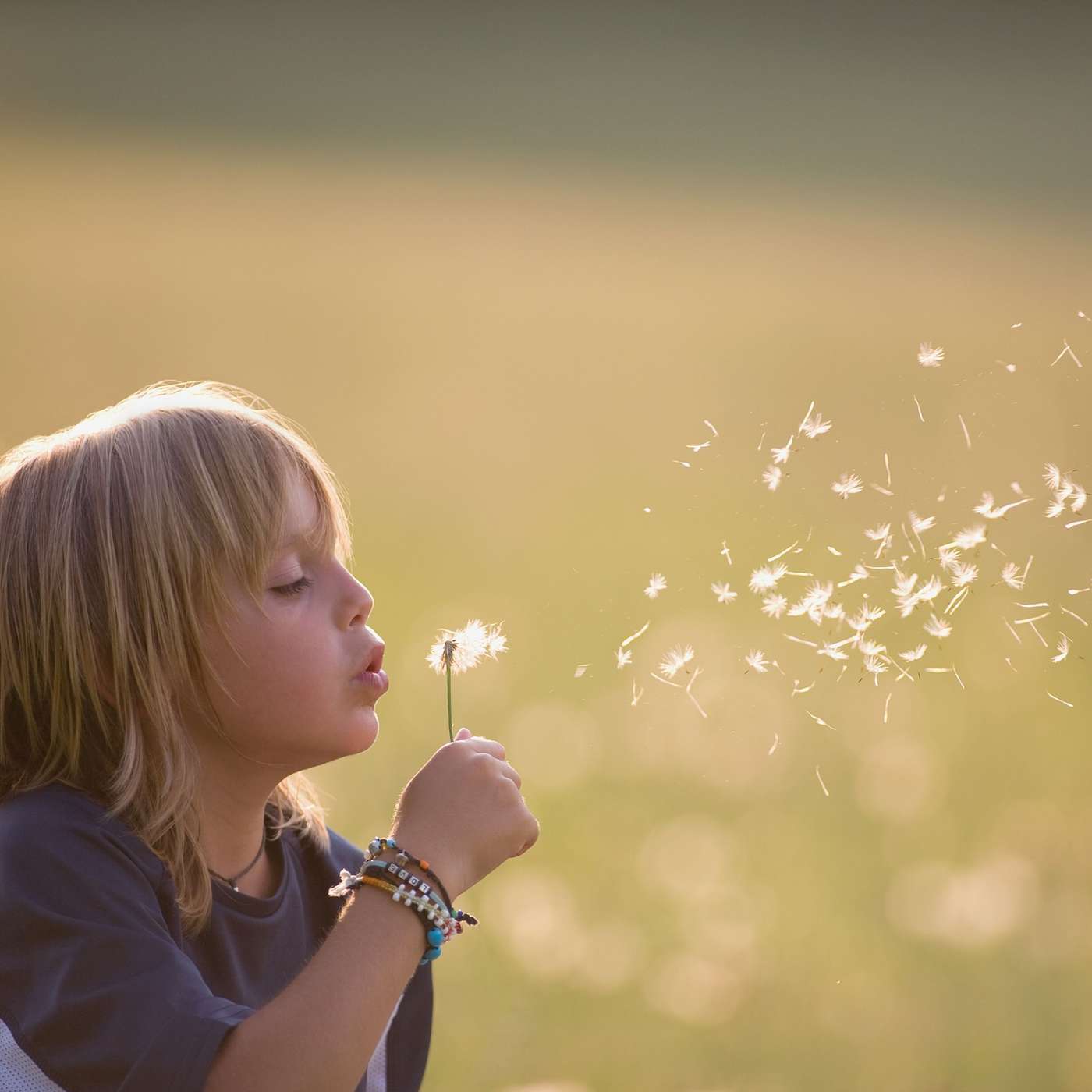 Set Free - Lent 41 Set Free - Lent 41